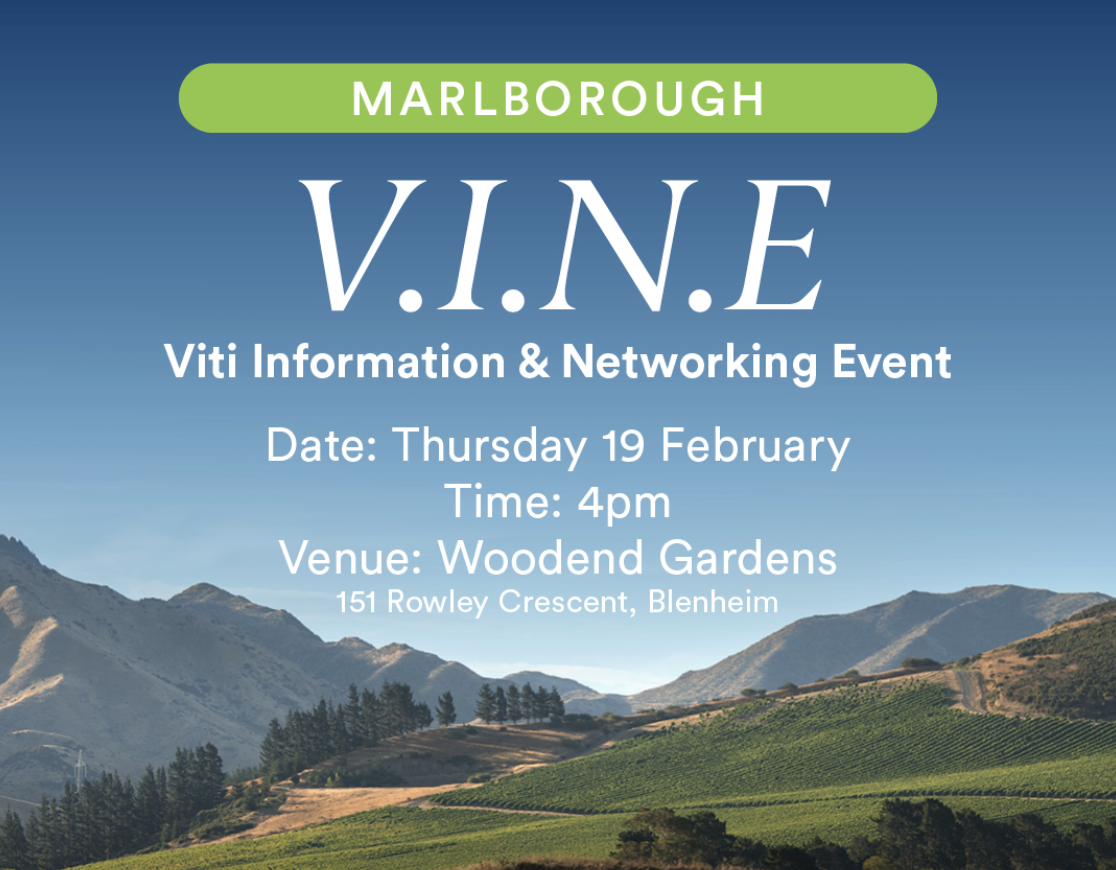 Marlborough Young Vit VINE Session