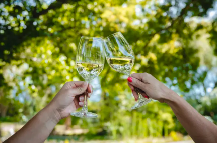 Savvy Day at Forrest