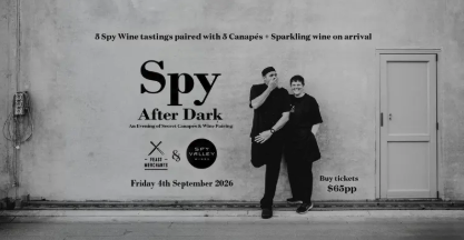 Spy After Dark