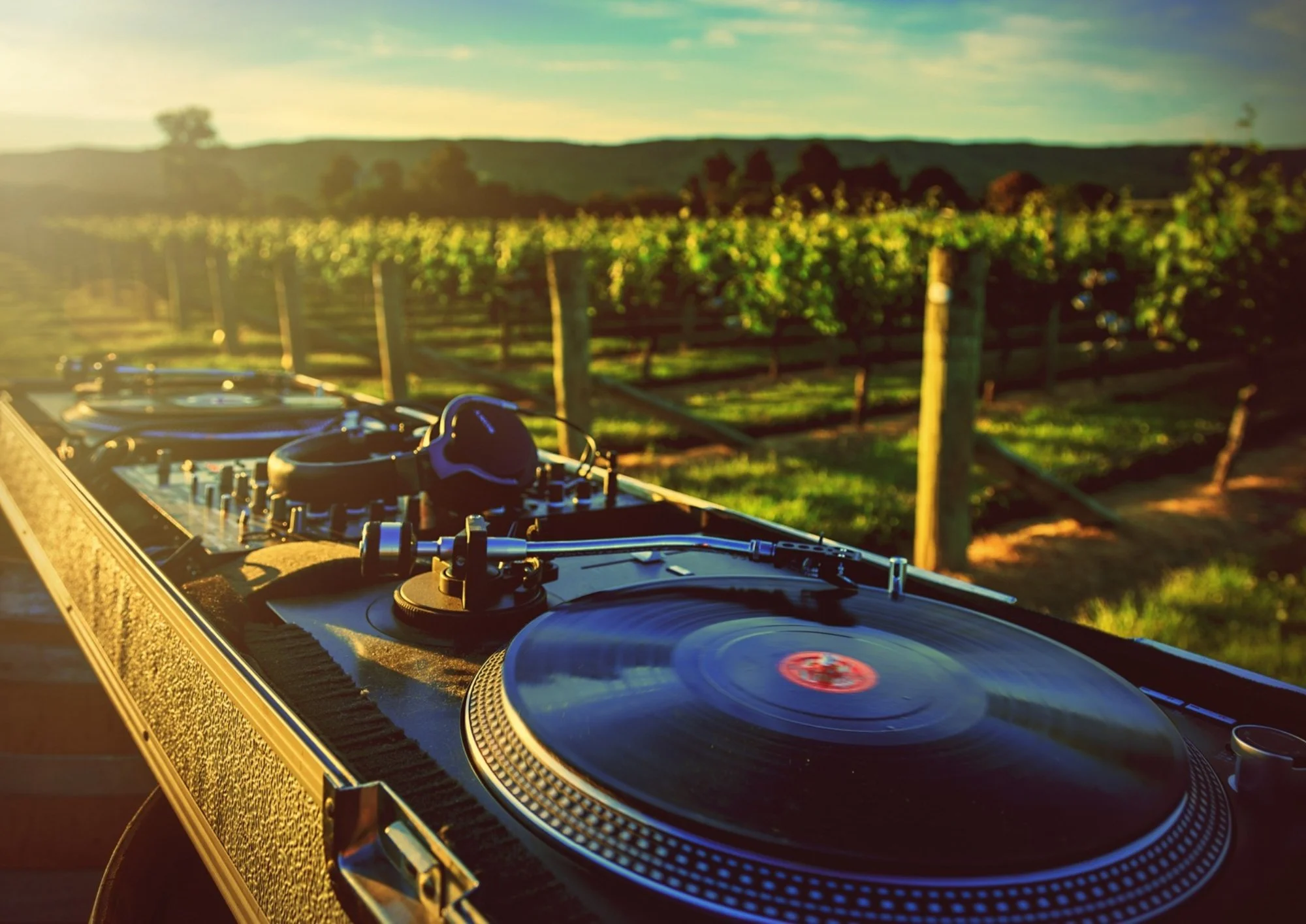 Vinyl in the Vines