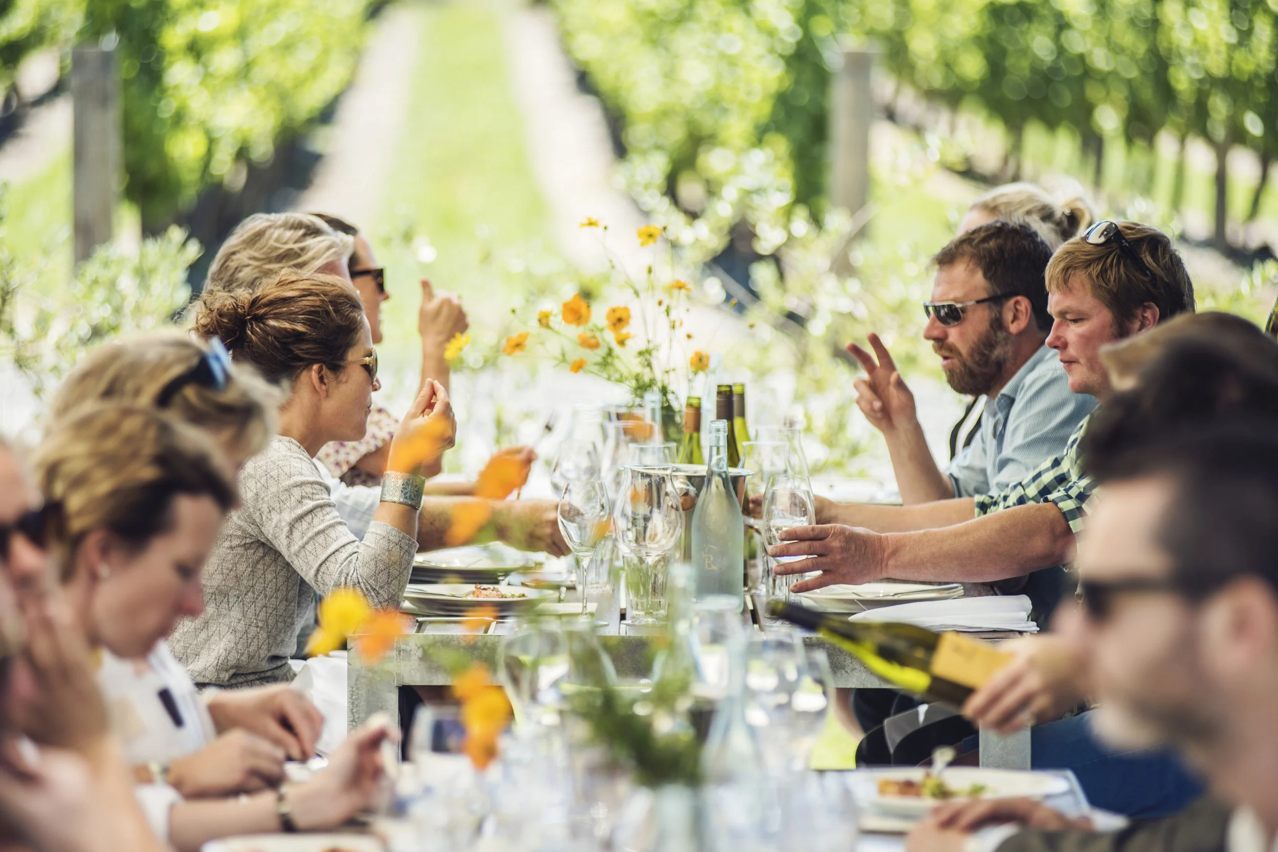 Sauvignon Blanc NZ 2027