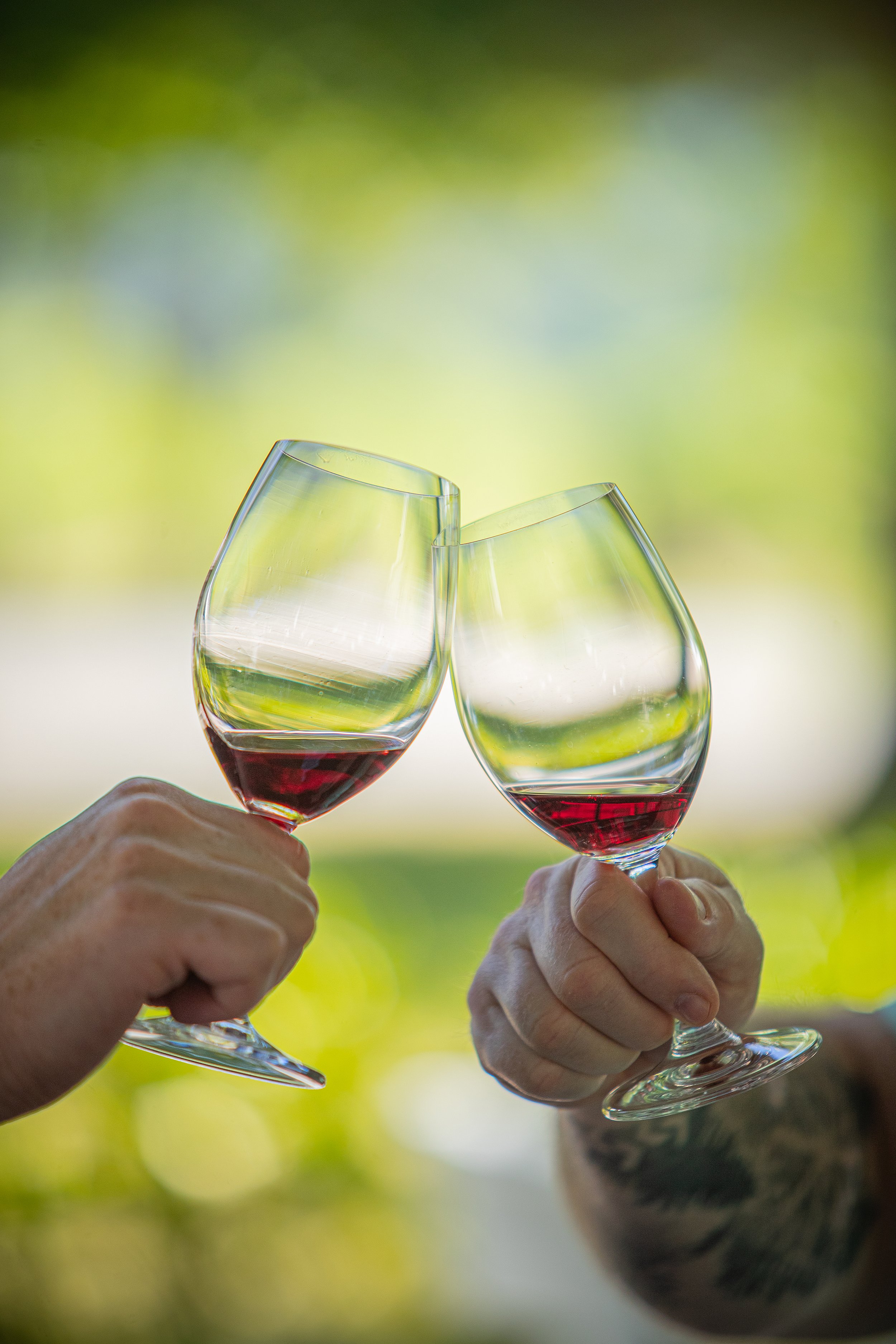 TOURISM_Cheers_Nautilus_MarlboroughNZ_CaptureStudios.jpg