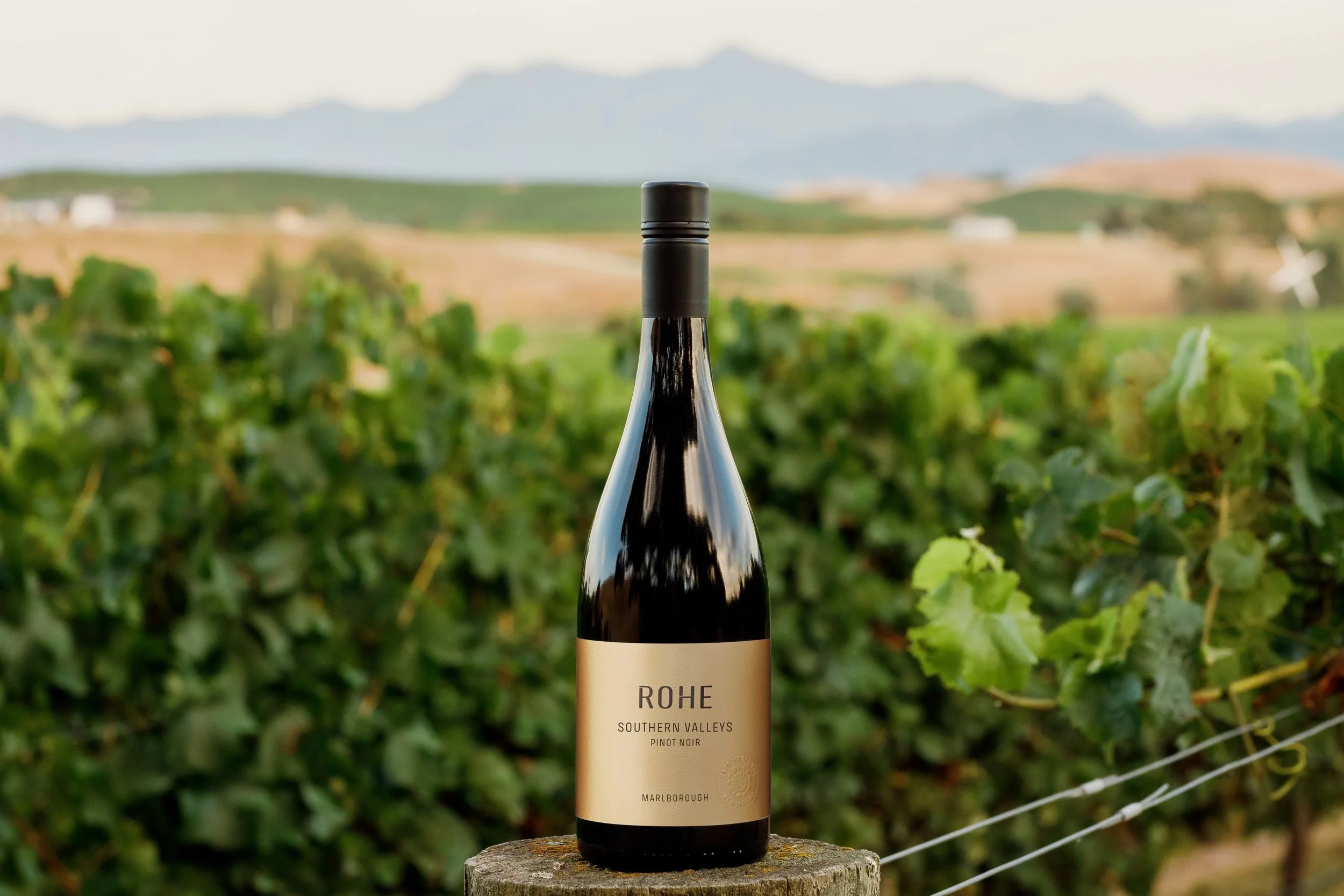 Experience Marlborough’s Subregions