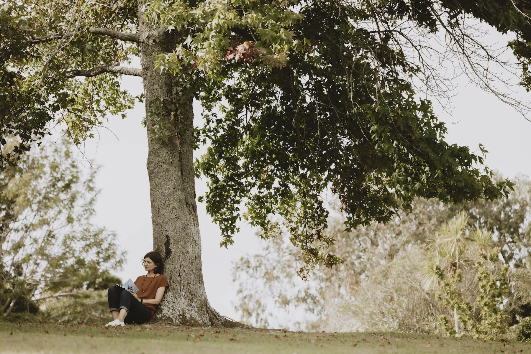 Spiritual Direction and Creation Spirituality