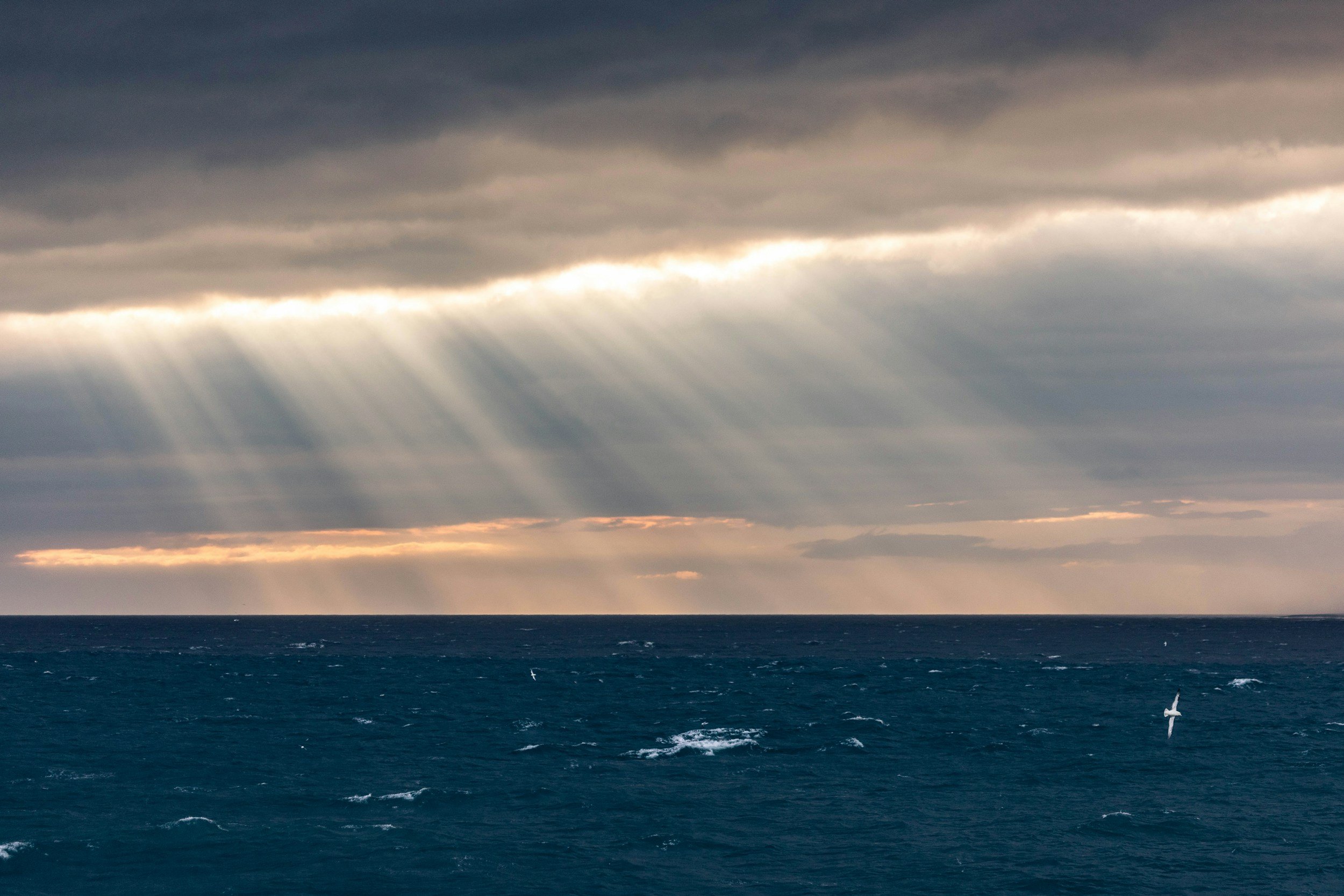 Diary of a Spiritual Directee - By Carolyn Officer