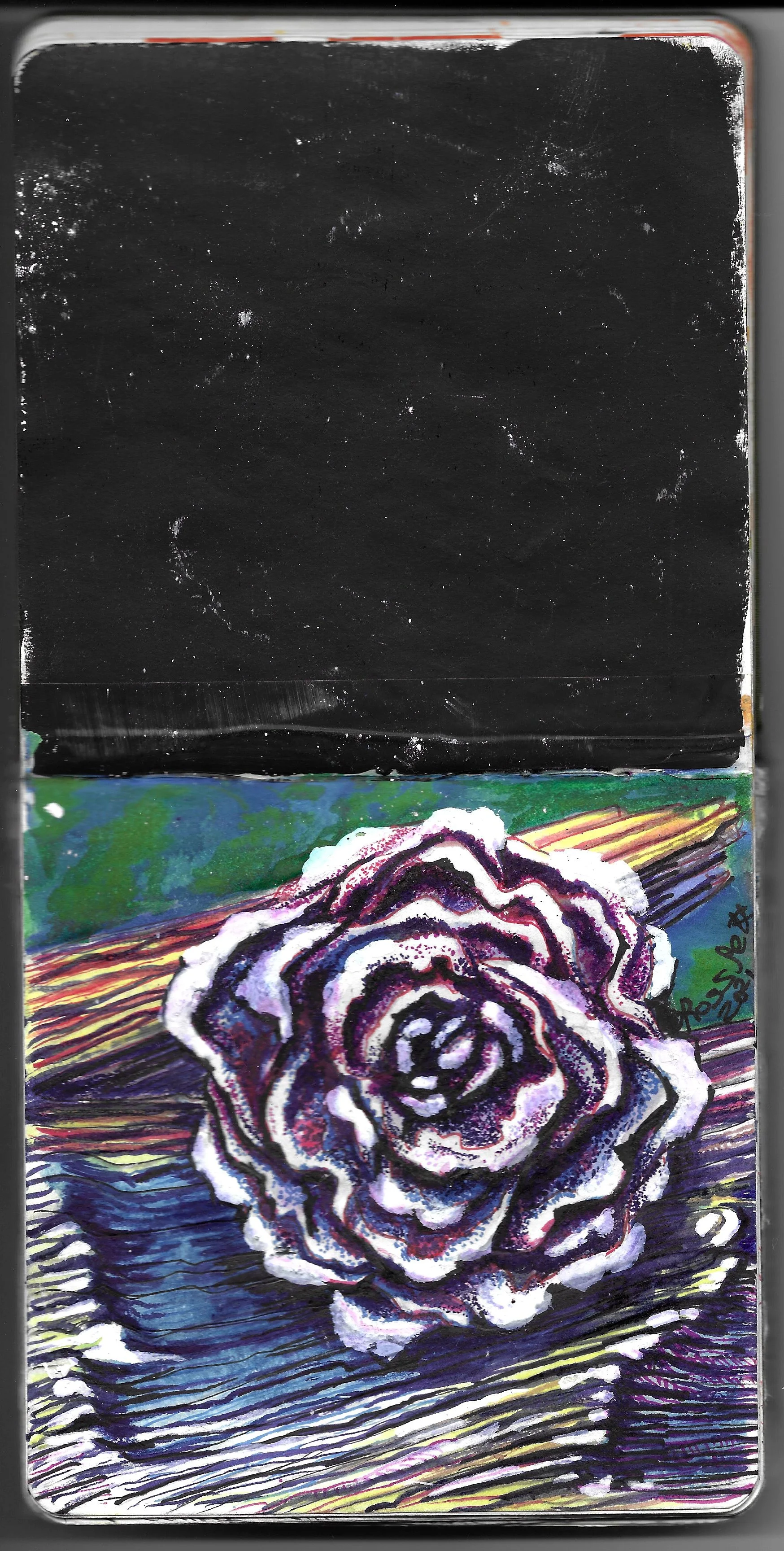 Water color pencil, micron, acrylic