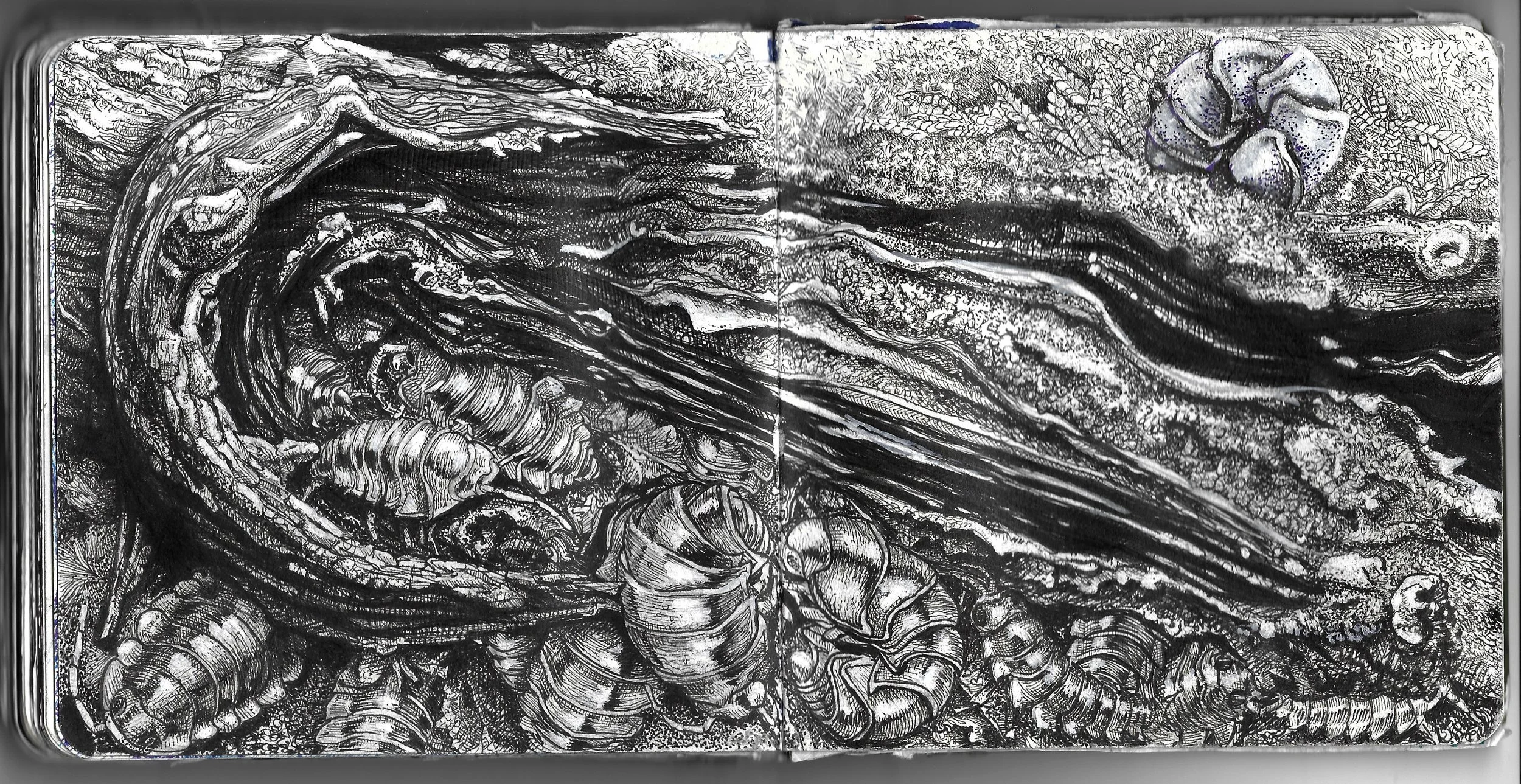 sketchbook 2015-2025 quicklook