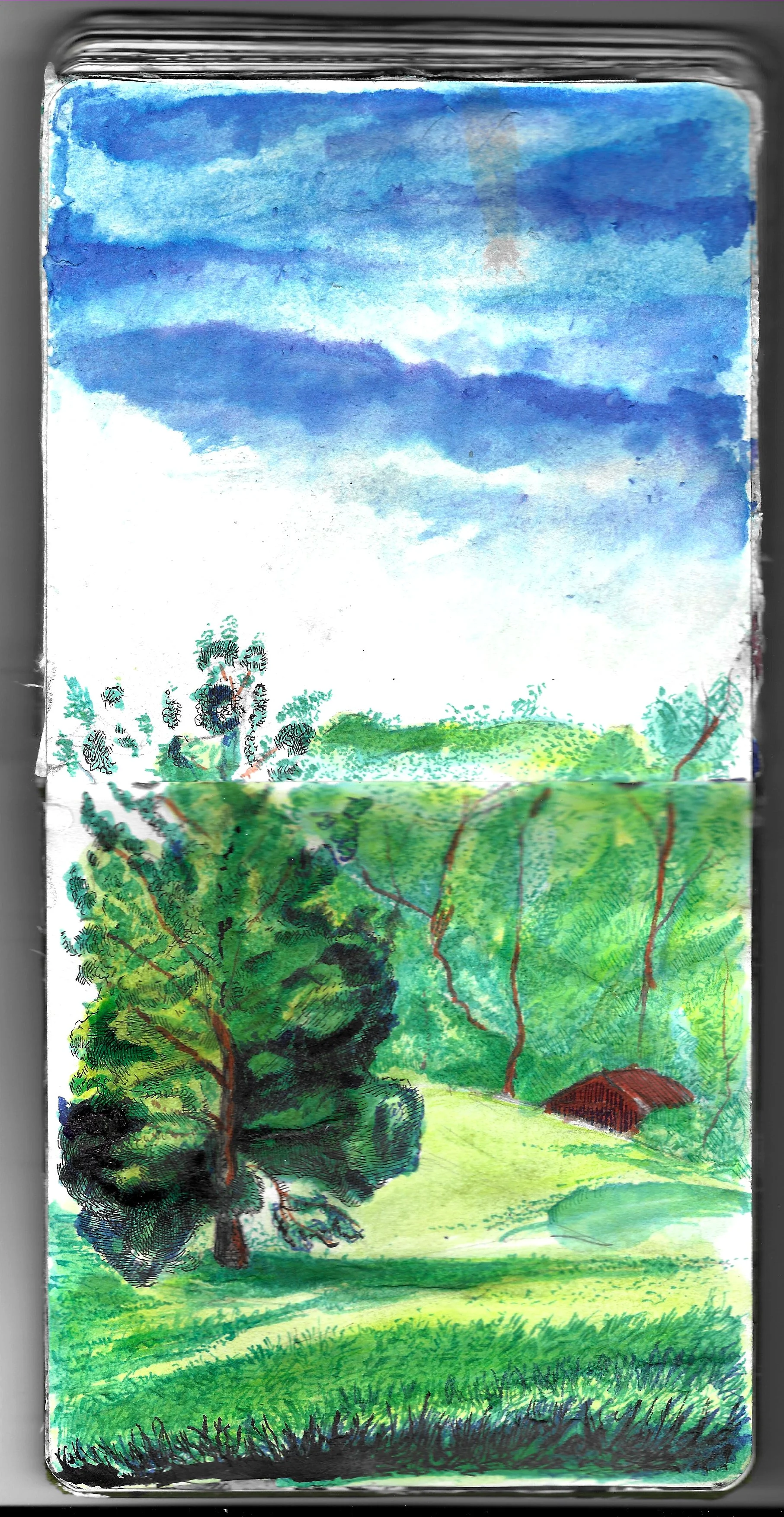 Water color pencil, micron, acrylic