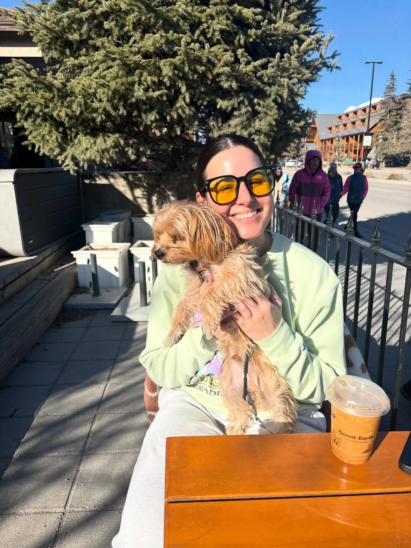 snow is forecasted for tomorrow, but yesterday it looked liked this ☀️ 
.
false spring 4/1000 😅
.
.
.
#banff #mybanff #banffwellness #banffreiki