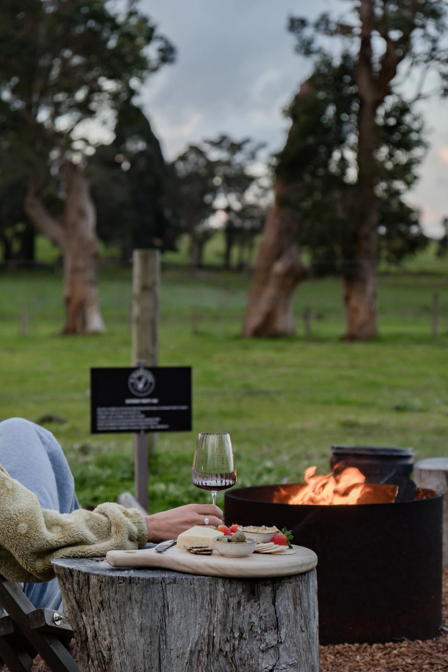Cheese platter whilst sitting next to outdoor fire pit