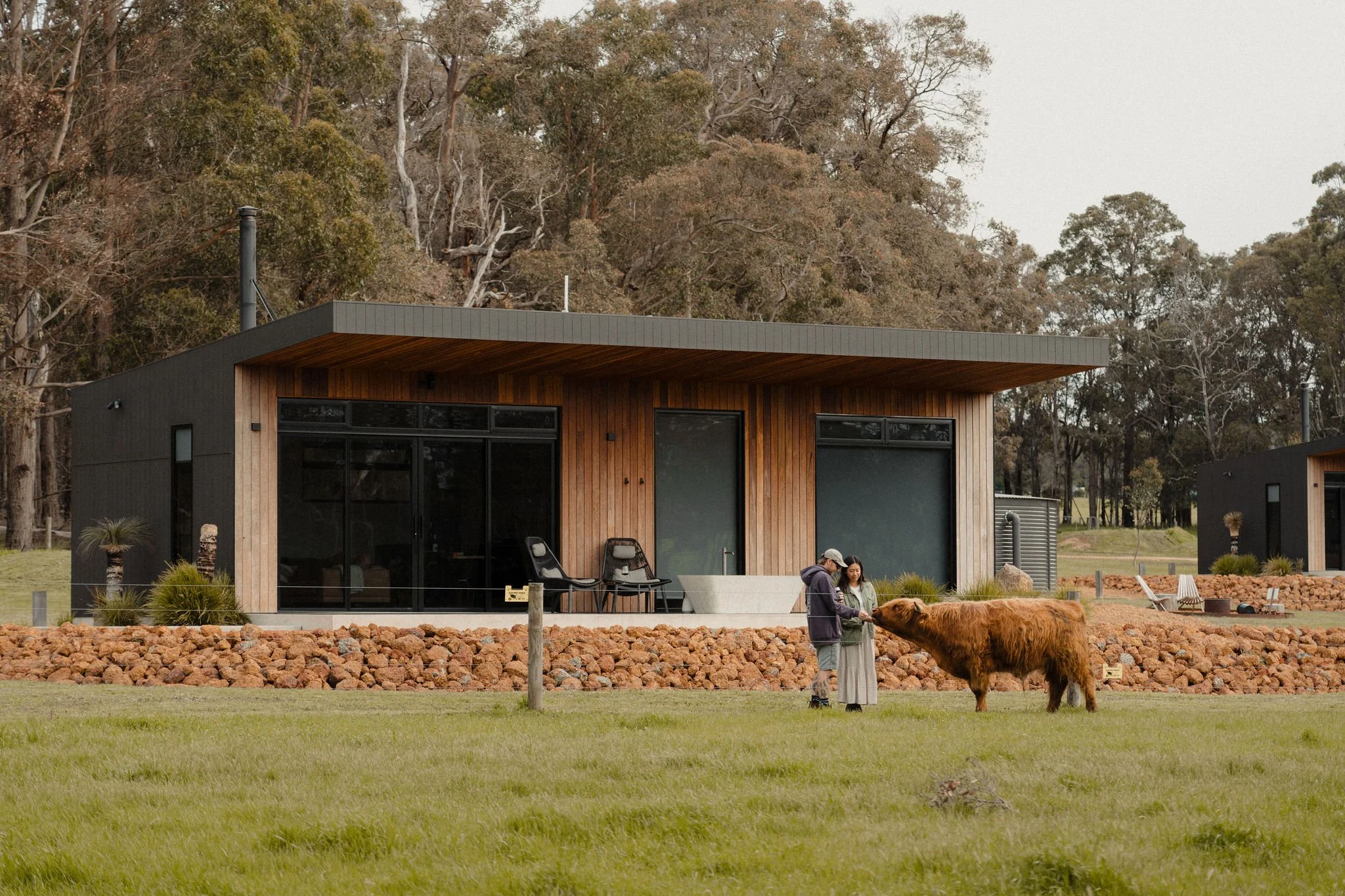 Chalet exterior timber cladding free standing building with Highland cows out the front