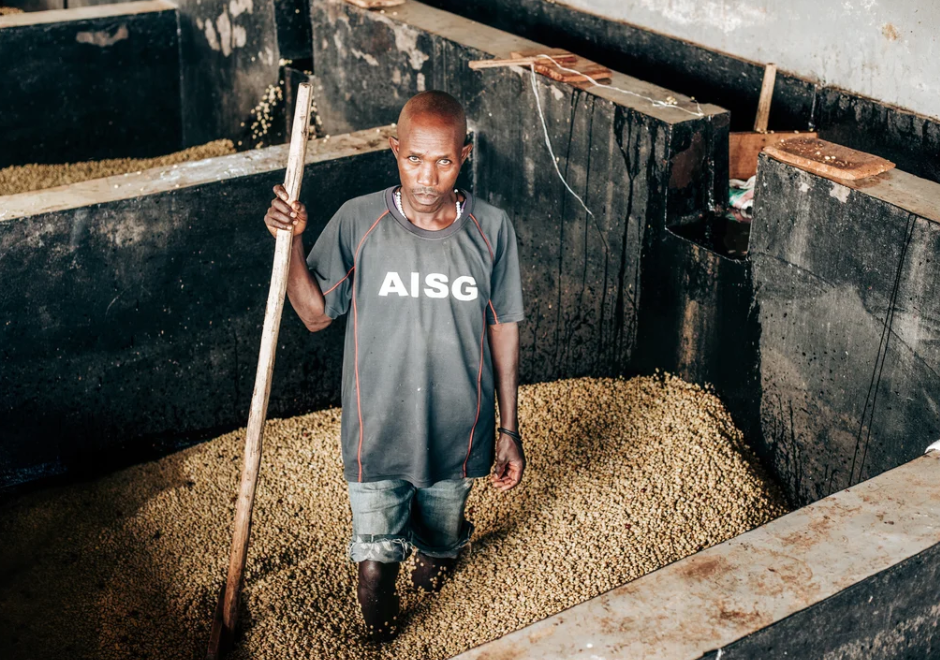 8. Burundi – Ruronge Hill Lot 62