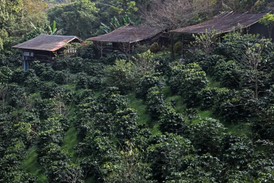 10. Vietnam – Son La G1