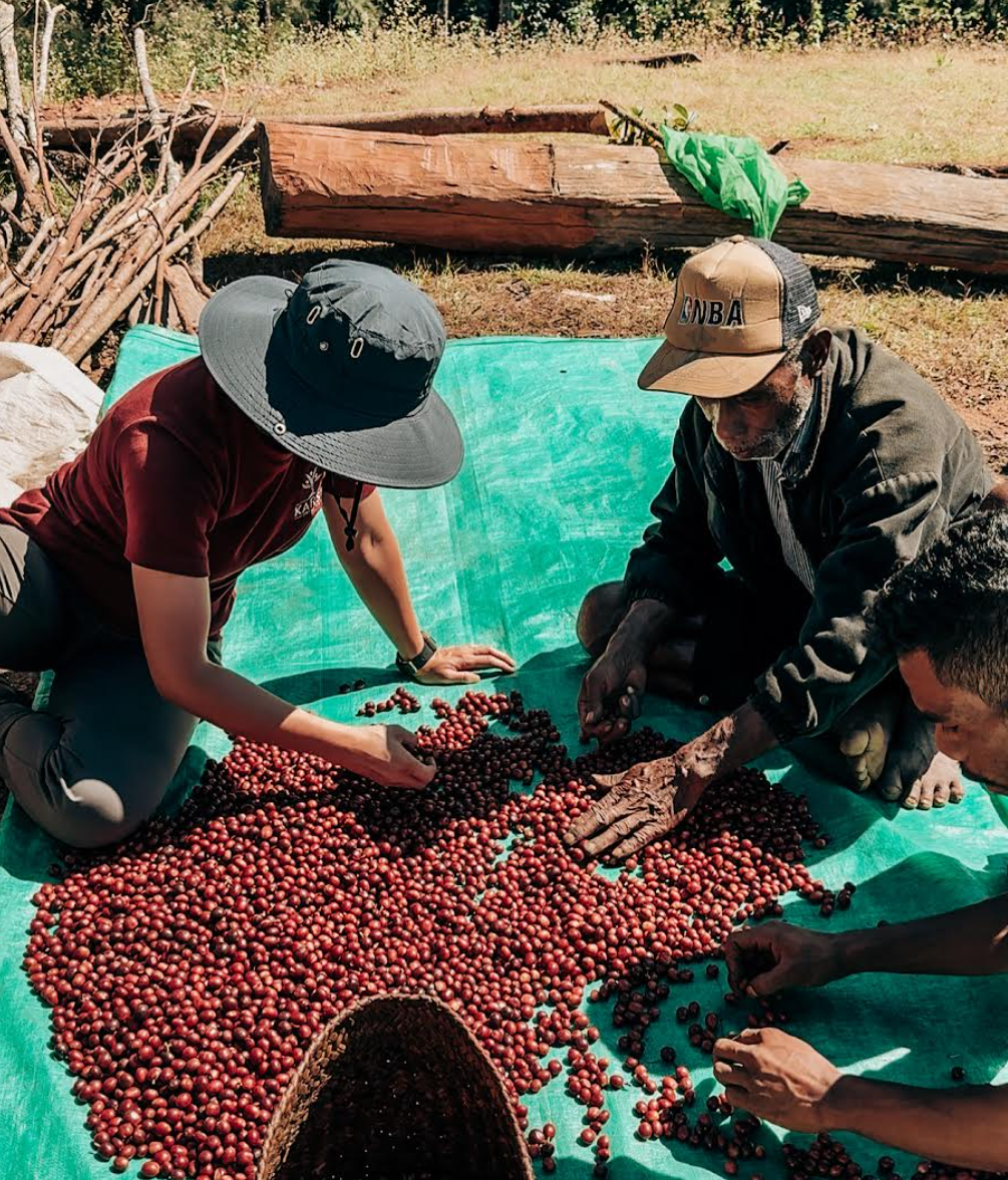 13. Timor Leste – Eratoi
