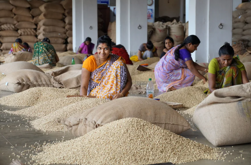 15. India – Monsooned Malabar