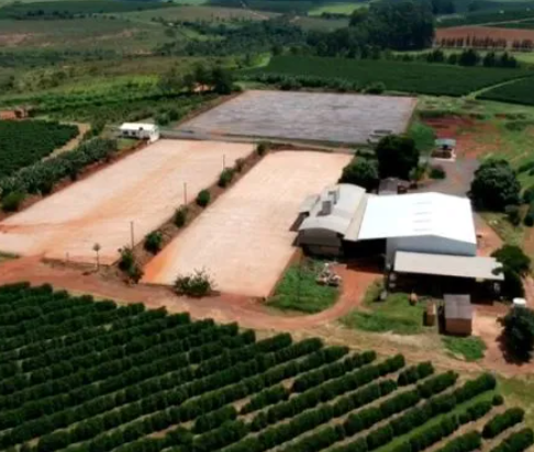 17. Brazil – Eagle Monte Carmelo Café Delas