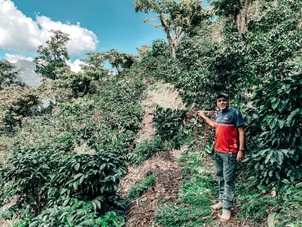 20. Mexico – Rancho Morelia