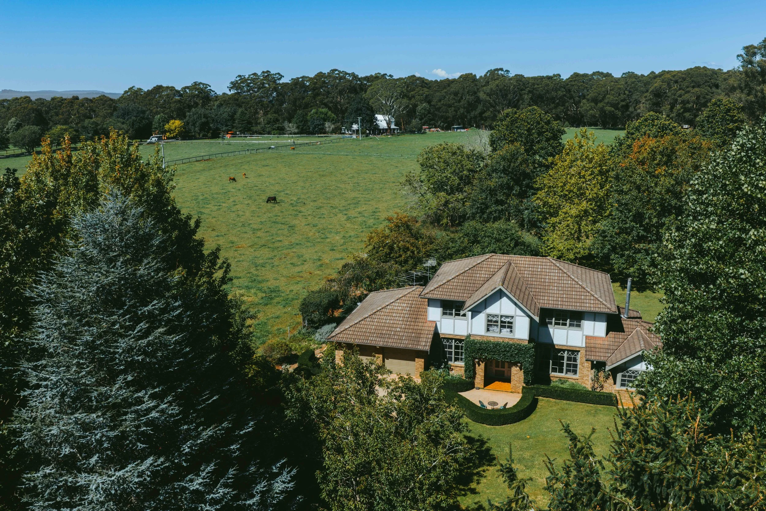 007. SHC030 Current Photography.jpg