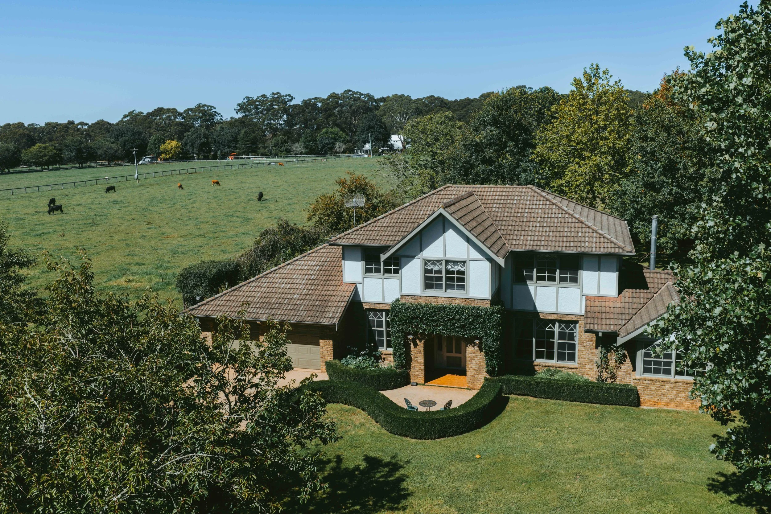 003. SHC030 Current Photography.jpg