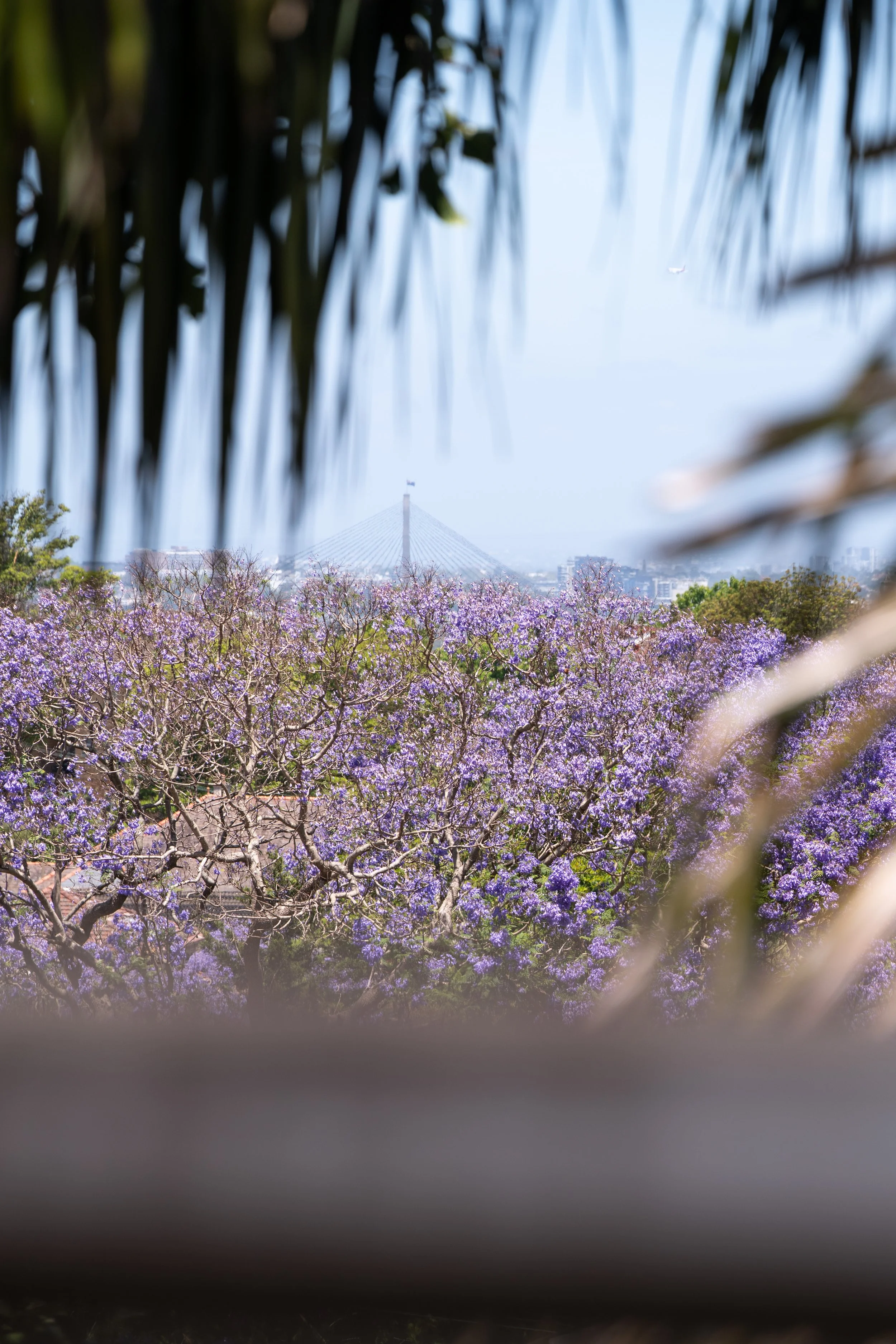 020. SYD017 Airbnb NEW.jpg