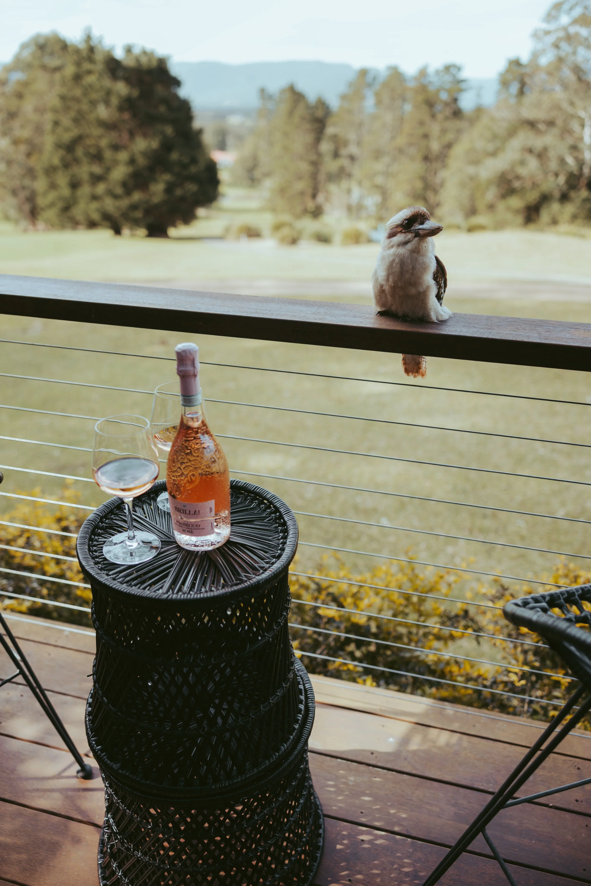 005. SHC001 _Jimmys Kangaroo Valley_.jpg