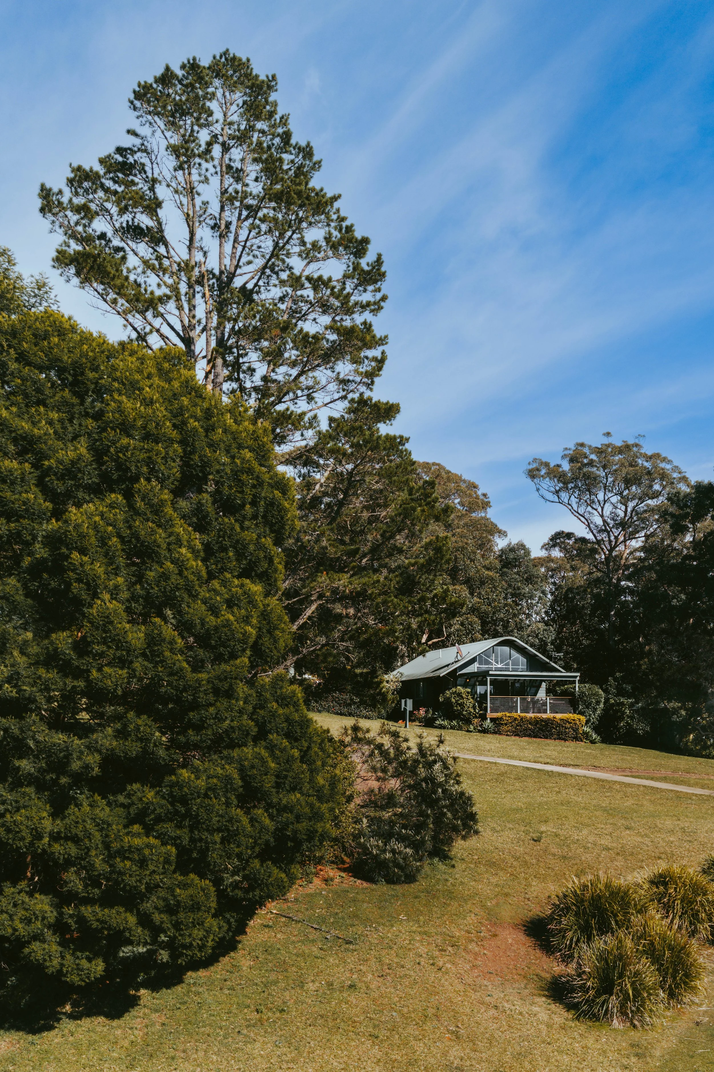 014. SHC001 _Jimmys Kangaroo Valley_.jpg