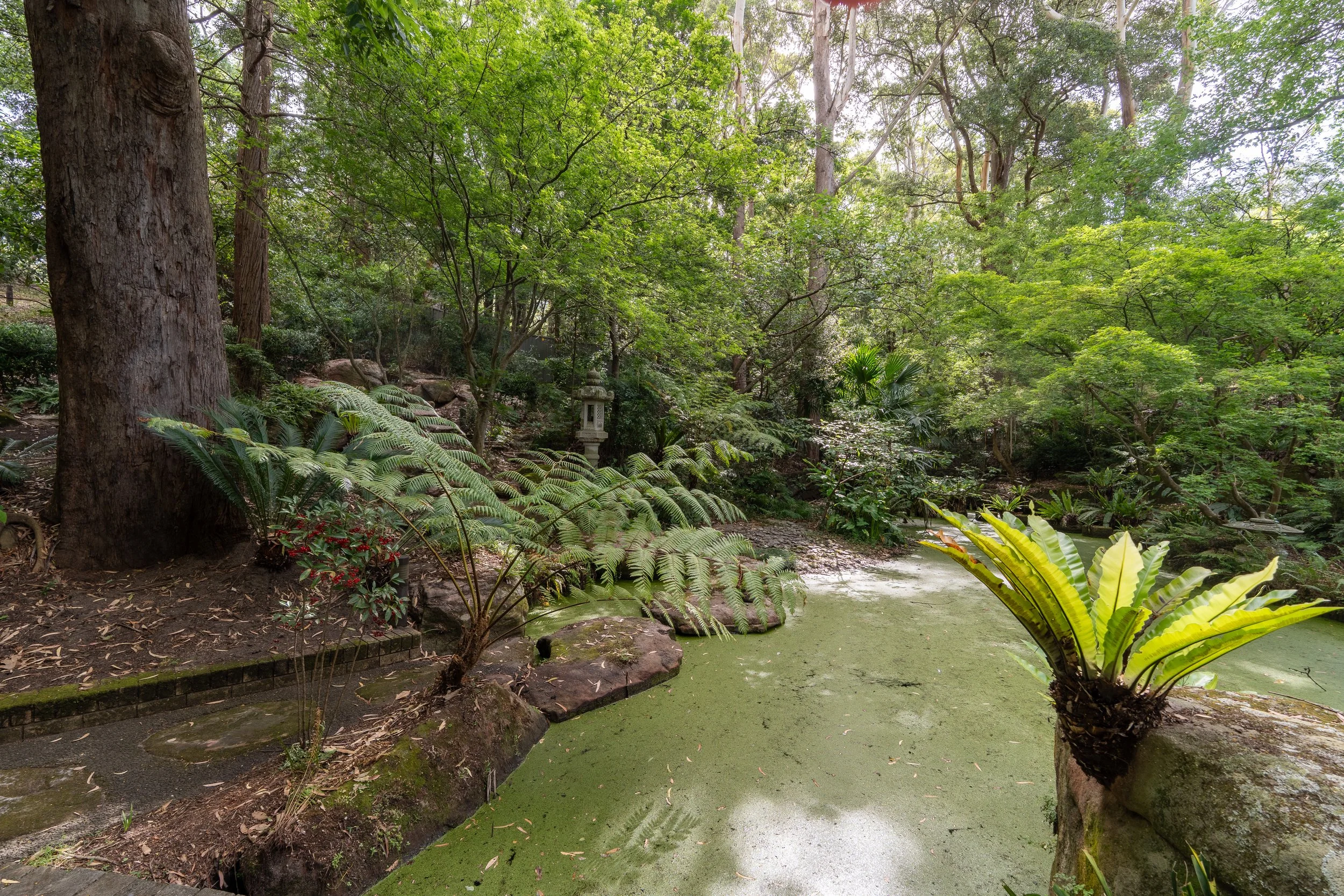 048. AUS007 Current Photography.jpg