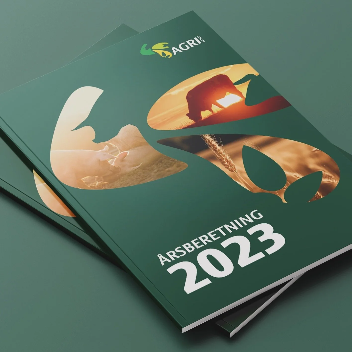 Layout af Agri Nords &aring;rsberetning #detgrafiskehj&oslash;rne #agrinord #grafiskdesign #brochuredesign #&aring;rsberetning #grafiker