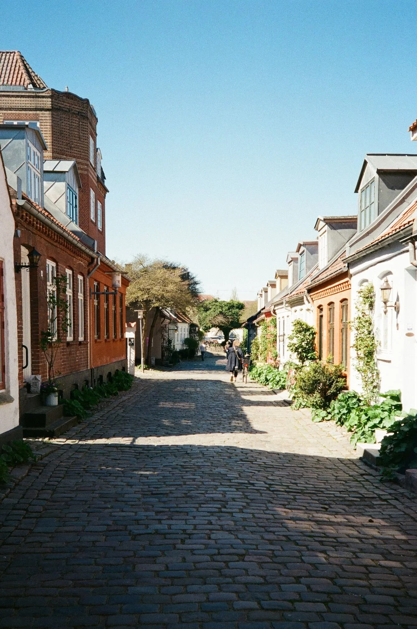 film-photography-copenhagen-7.jpg