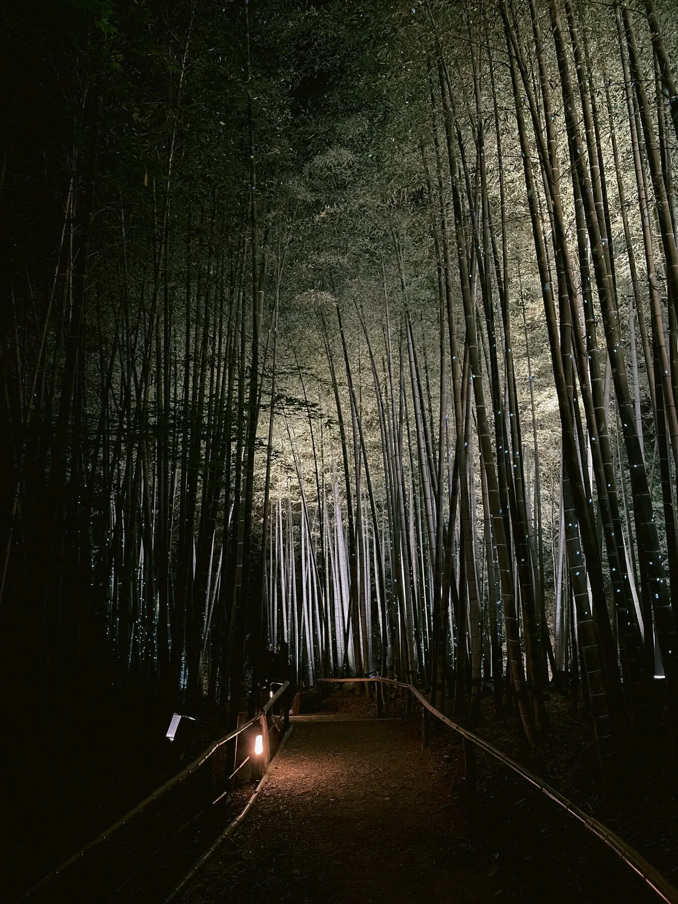 koda-ji-temple-must-have-ievaviphoto.jpg