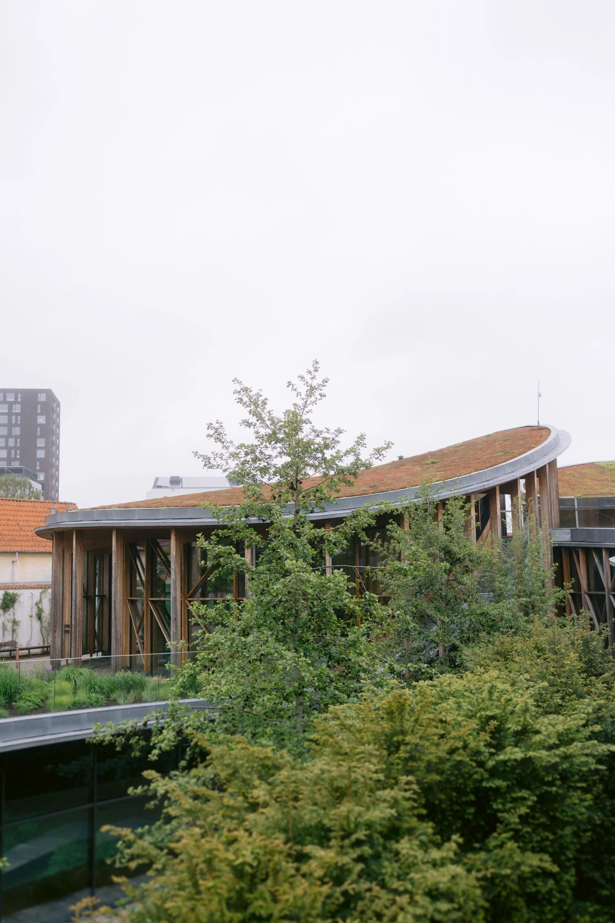 odense-city-hall-wedding-1-2.jpg