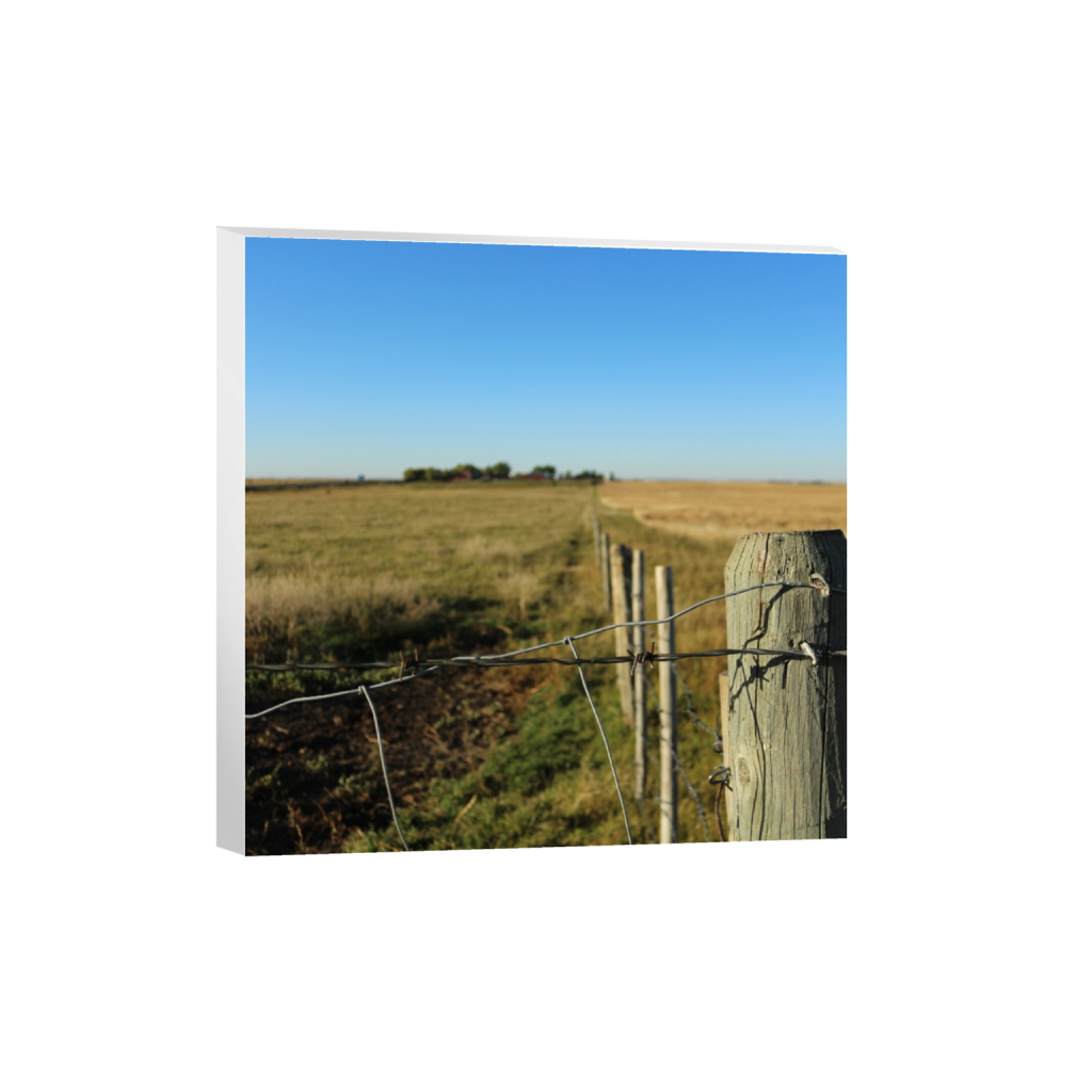 canvas_square_850_0_3402_3402_0_false_ffffff_0_0.png