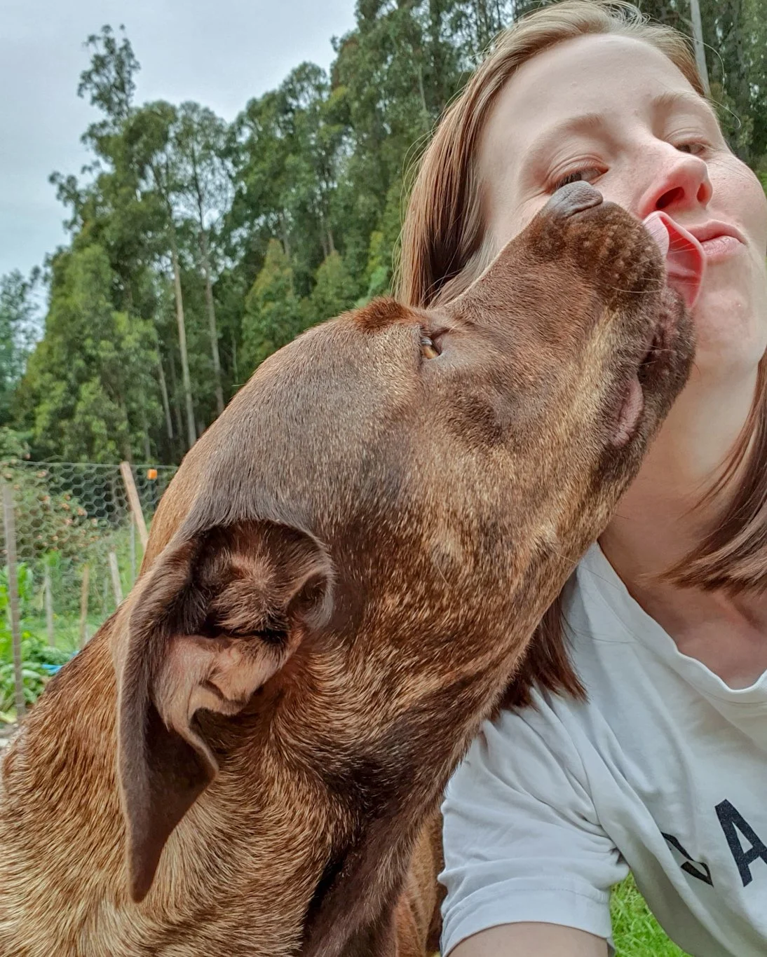 Trainer - Isabel Hyland
Summary of Qualifications
 - IMDT Certificate IV in Animal Behaviour and Training, currently completing
Behaviour Bible - School of Canine Science, currently completing
First Aid Certificate, 2022
Mental Health First Aid,
