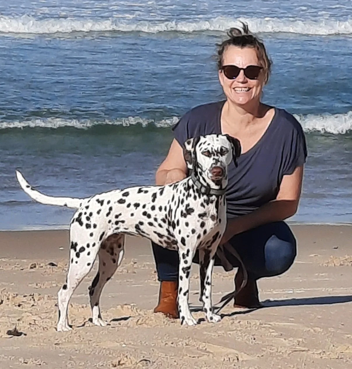 Trainer & Assessor - Gilda Taurian
Summary of Qualifications
 - Cert IV in Companion Animal Services - Delta Institute
 - Un-Chase(r) Licensed Trainer
 - CNWI (Canine Nose Work Instructor)- NACSW 
 - Canine Body language: A Visual Encyclopaedia/ Cl