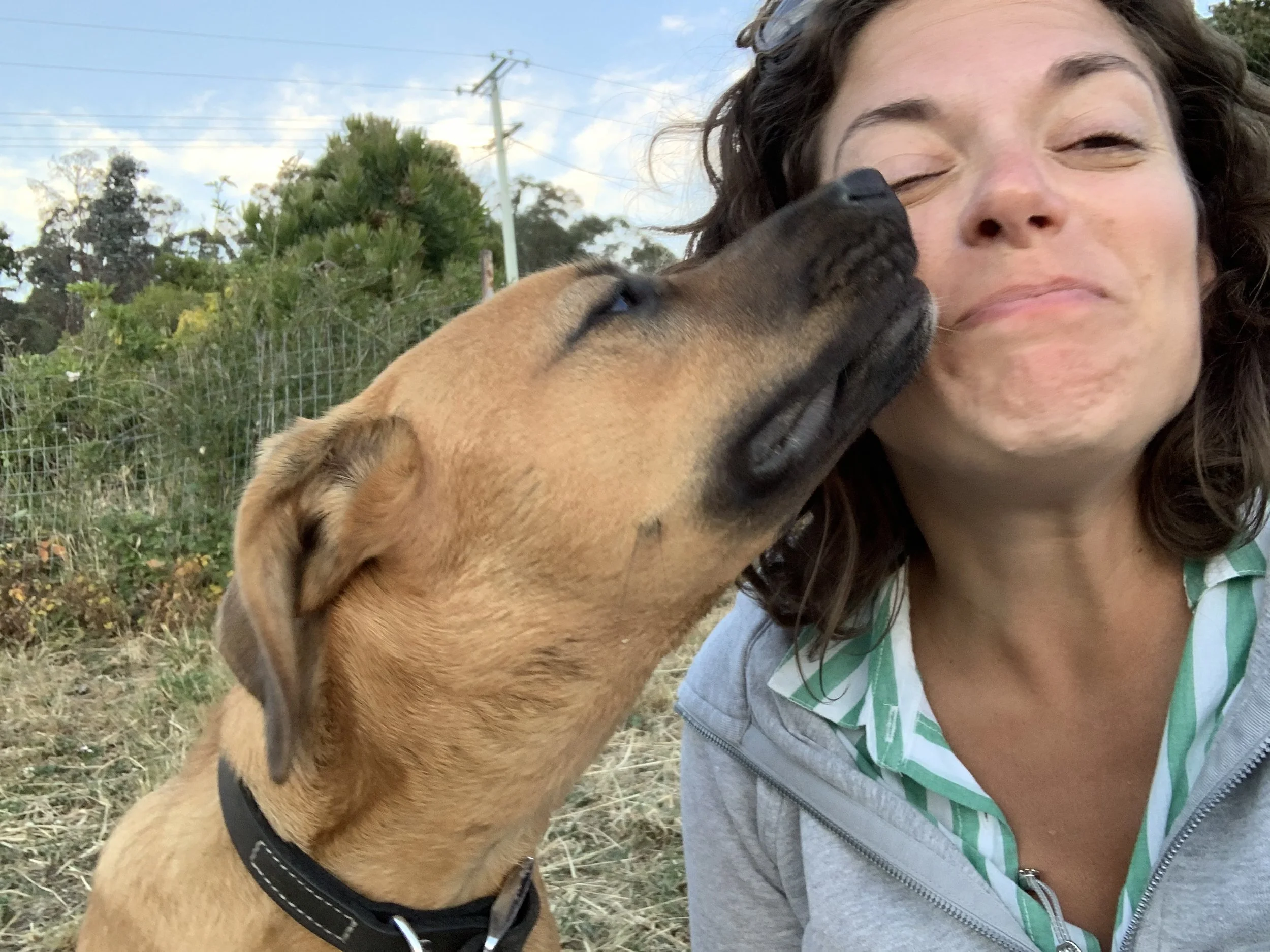 Trainer - Sarah Owen

Summary of Qualifications
Certificate IV in Animal Behaviour and Training - AVT
First Aid Certificate 2022
30 days of Canine Science - School of Canine Science (currently completing)
BA (hons) Communications
Bsc (hons) Healthcar