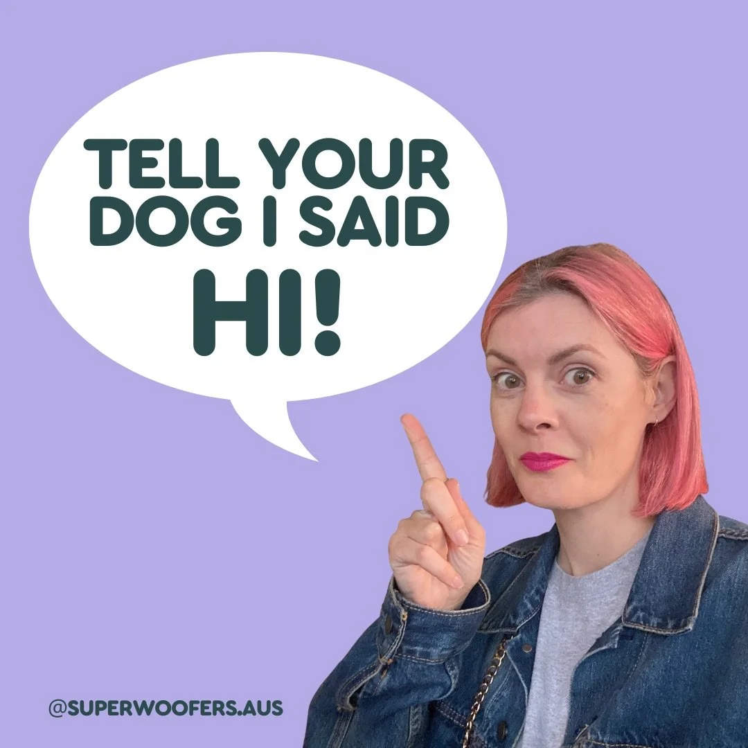 Trainer - Carly Clarke
Summary of Qualifications
 IMDT Full Member (with Distinction)                                
SOCS Force Free Trick Trainer/Assessor 
Therapy Dogs Australia Locum Assessor (Hobart)             
The School of Canine Science c