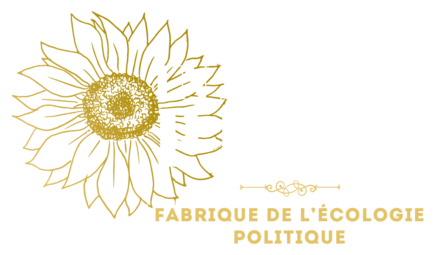 Institut Pline