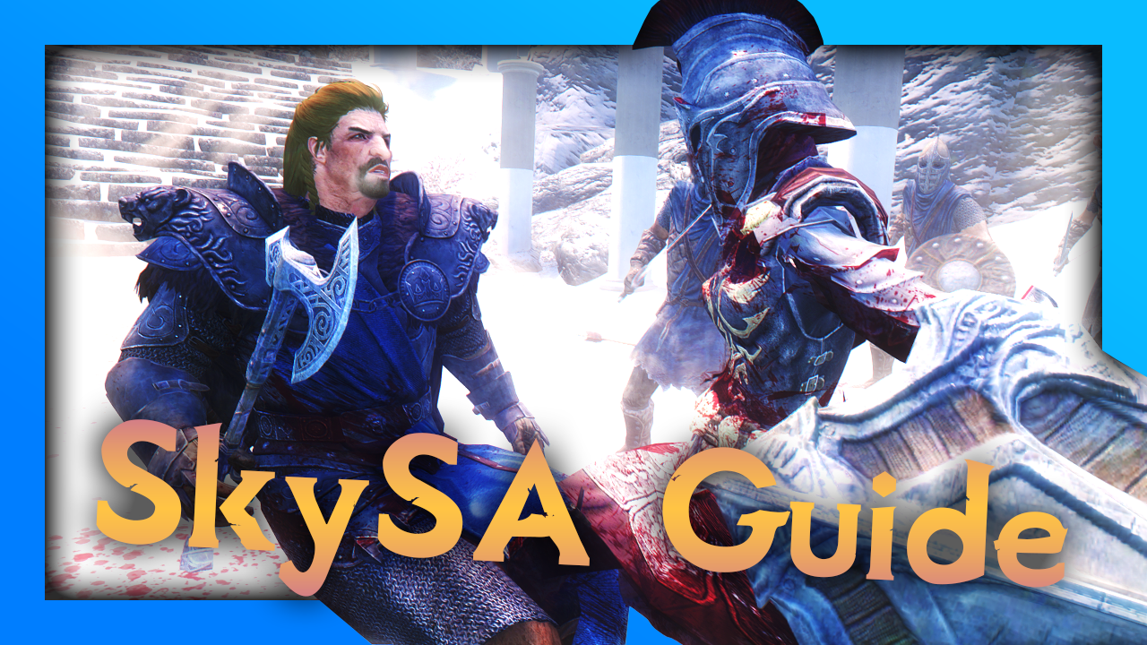SkySA Guide