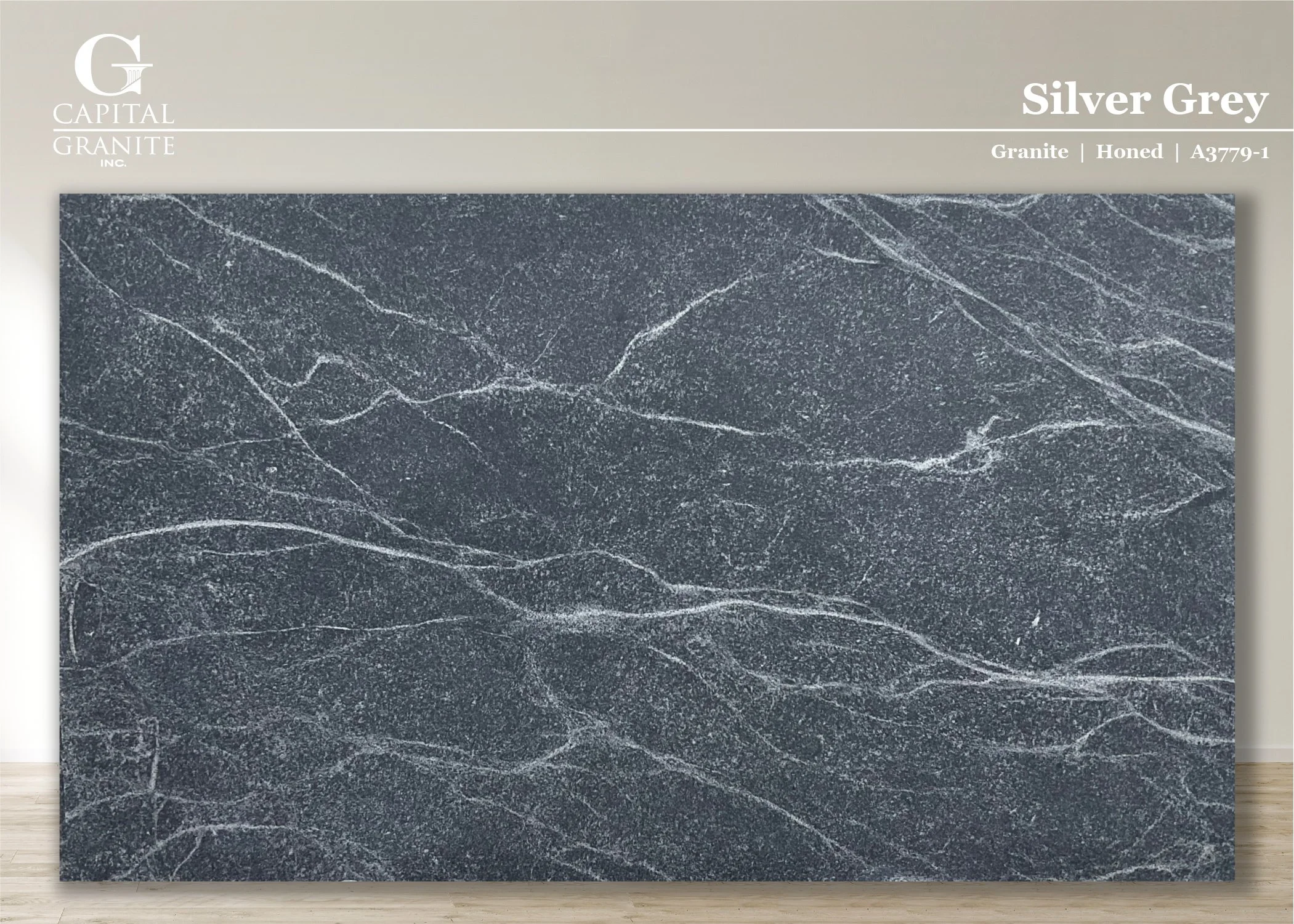 Silver Grey_A3779-1.jpg