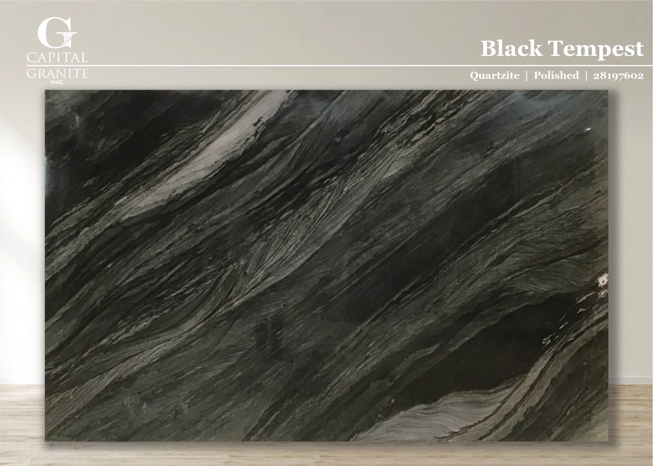 Black Tempest_28197602.jpg