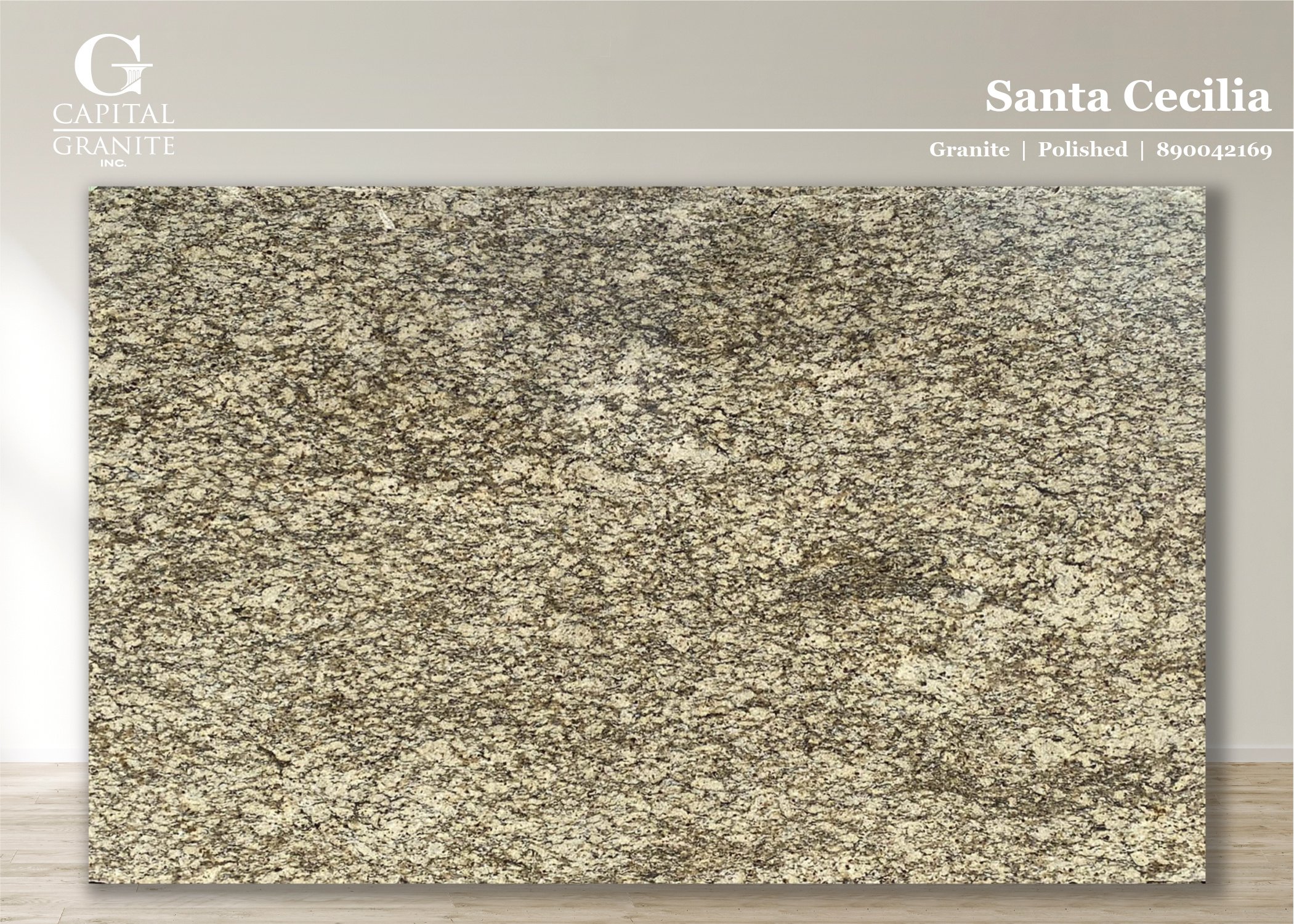 Santa Cecilia_890042169.jpg