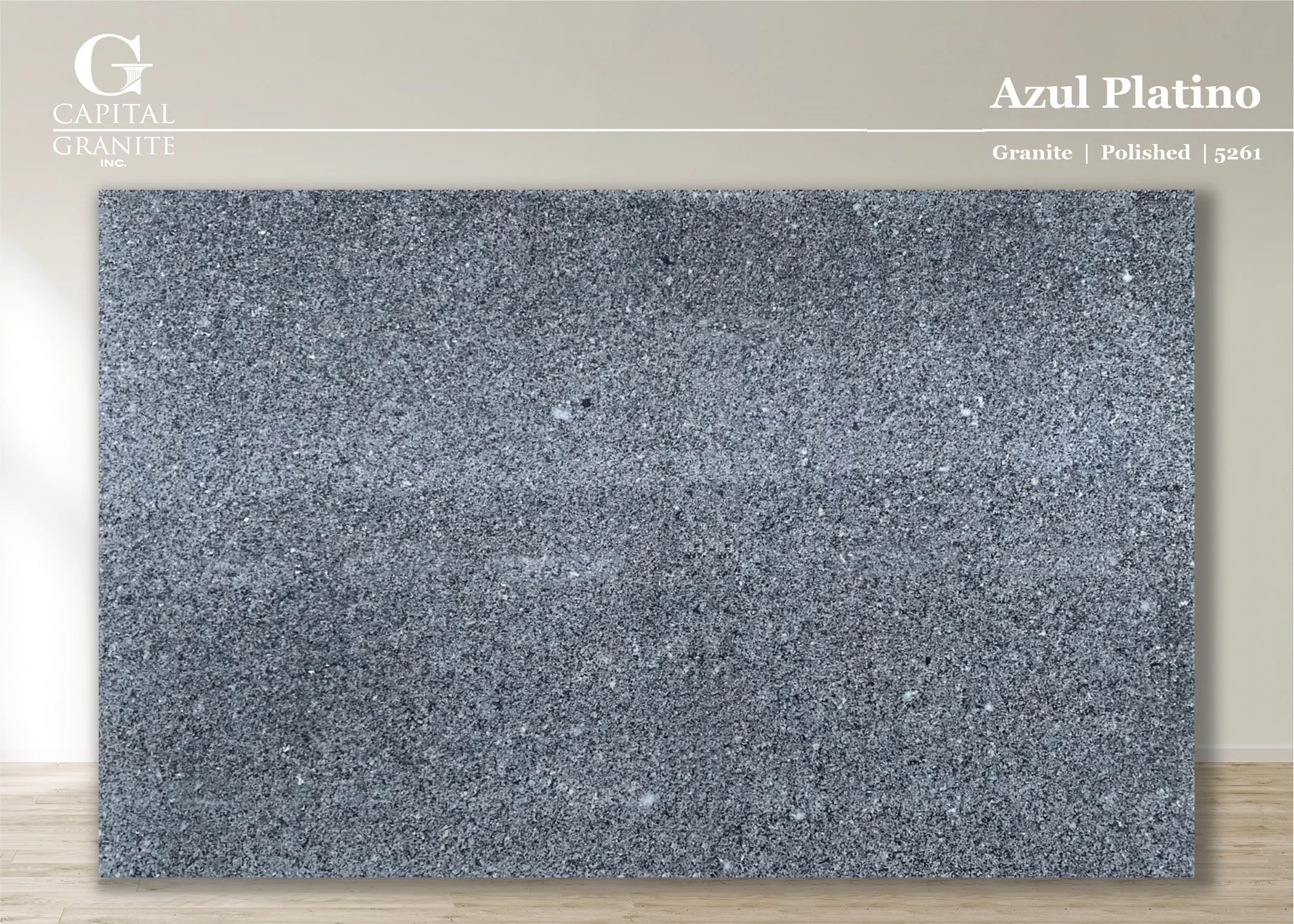 Azul Platino_5261.jpg