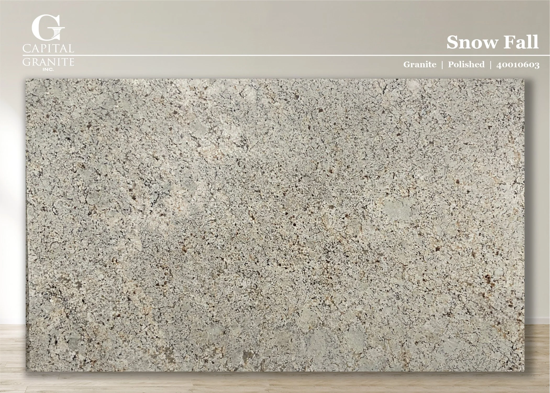 Snow Fall_40010603.jpg