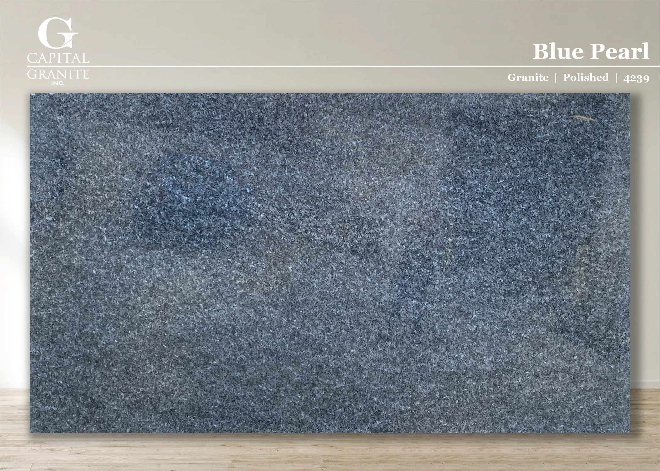 Blue Pearl_4239.jpg