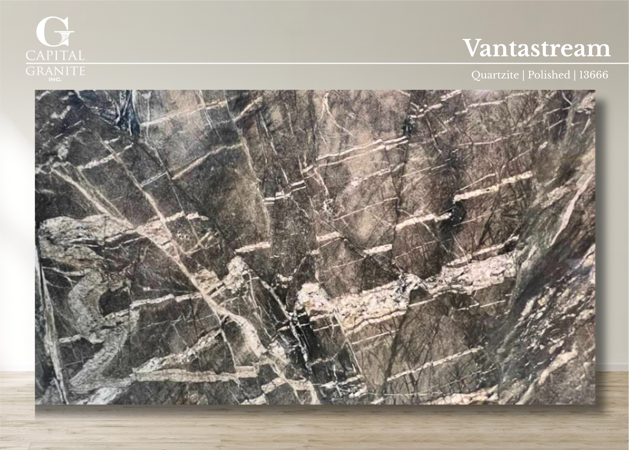 Vantastream_13666.png