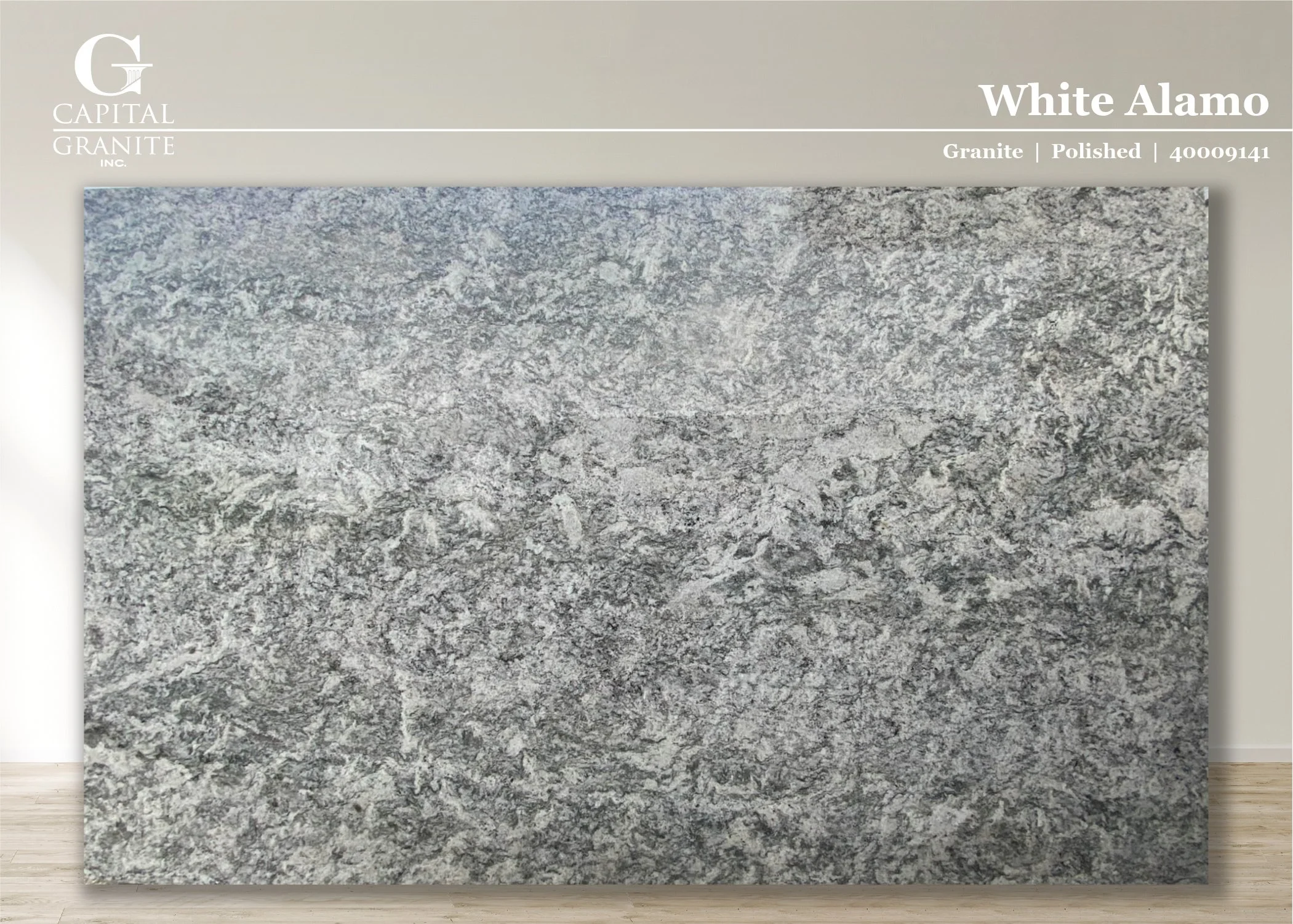 White Alamo_40009141.jpg