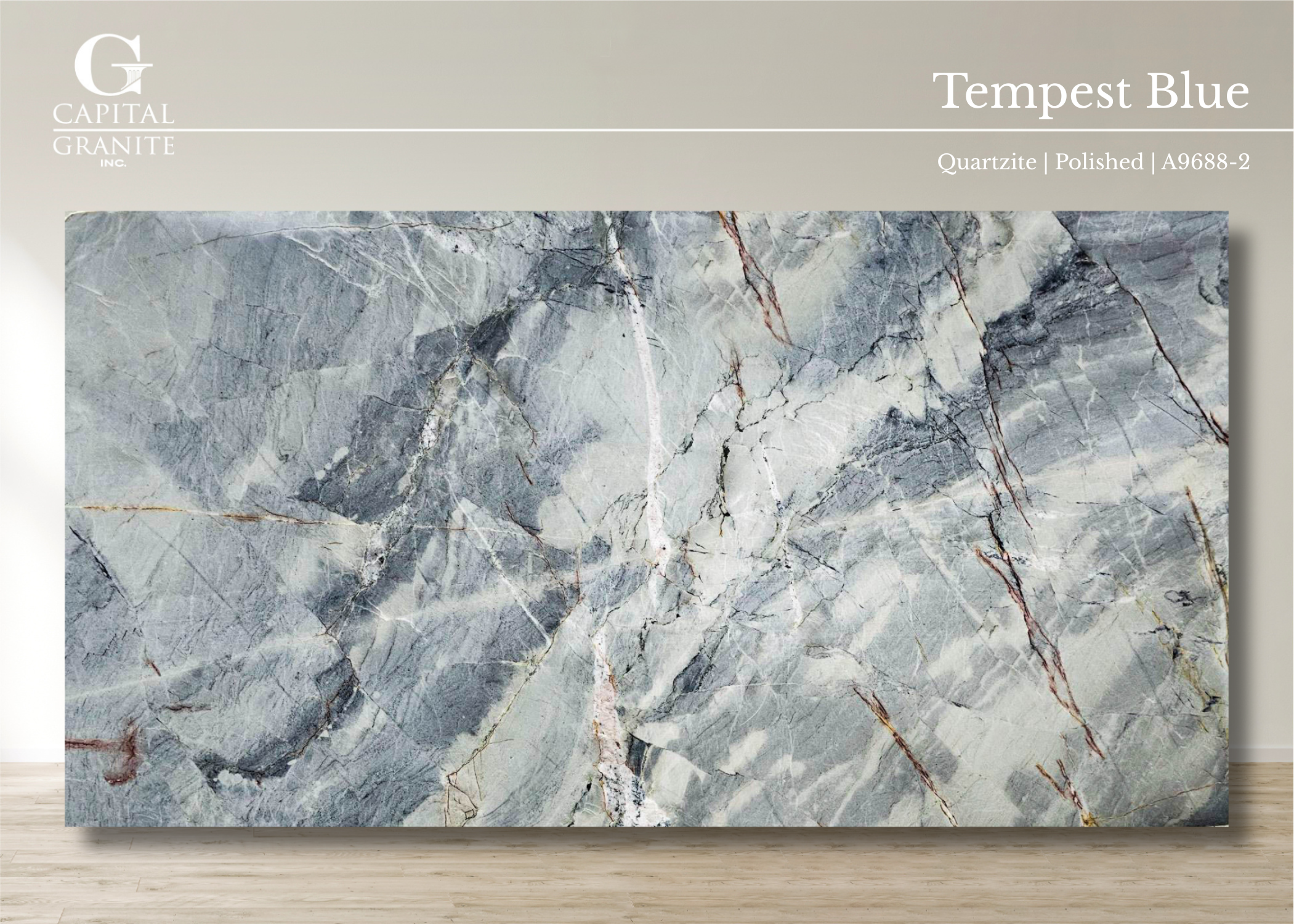 Tempest Blue_A9688-2.png