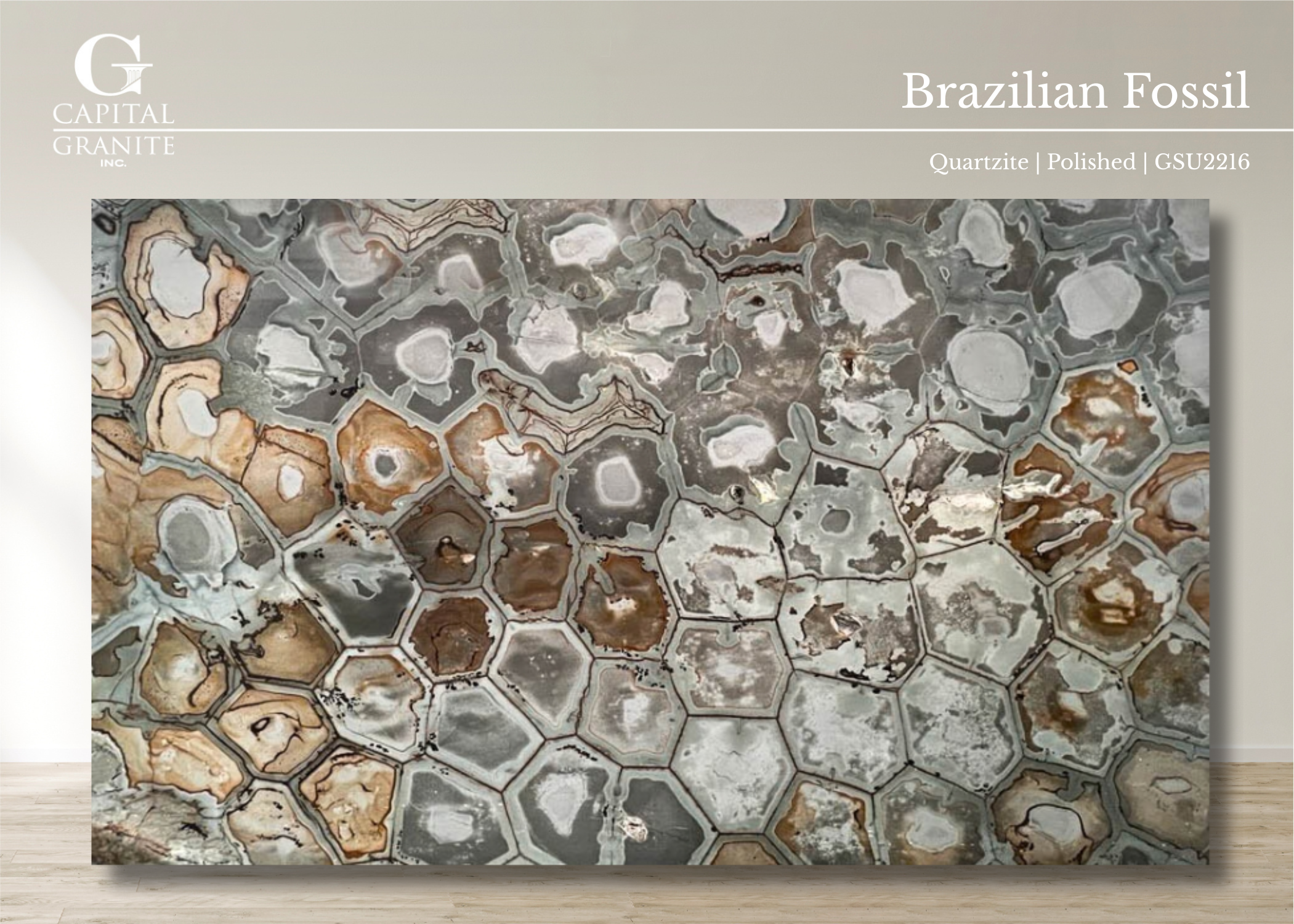 Brazilian Fossil_GSU2216.png