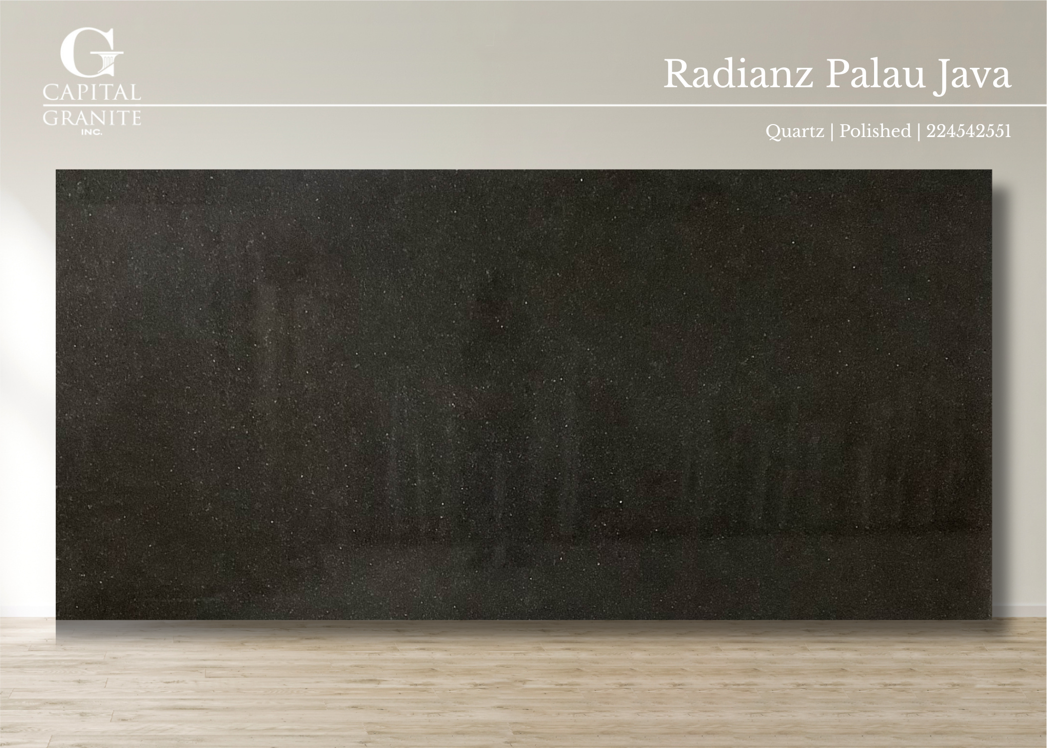 Radianz Palau Java_224542551.png