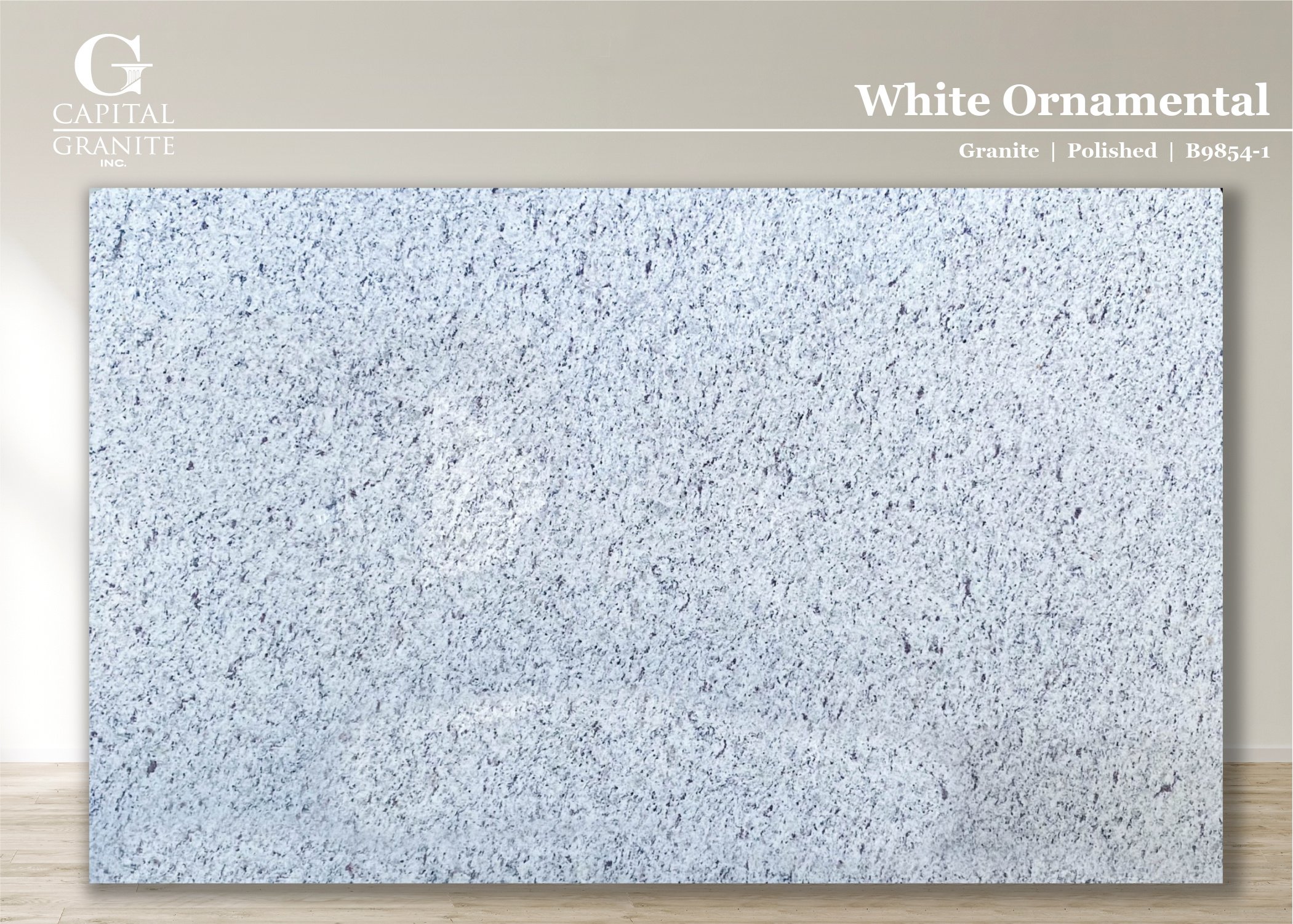 White Ornamental_B9854-1.jpg